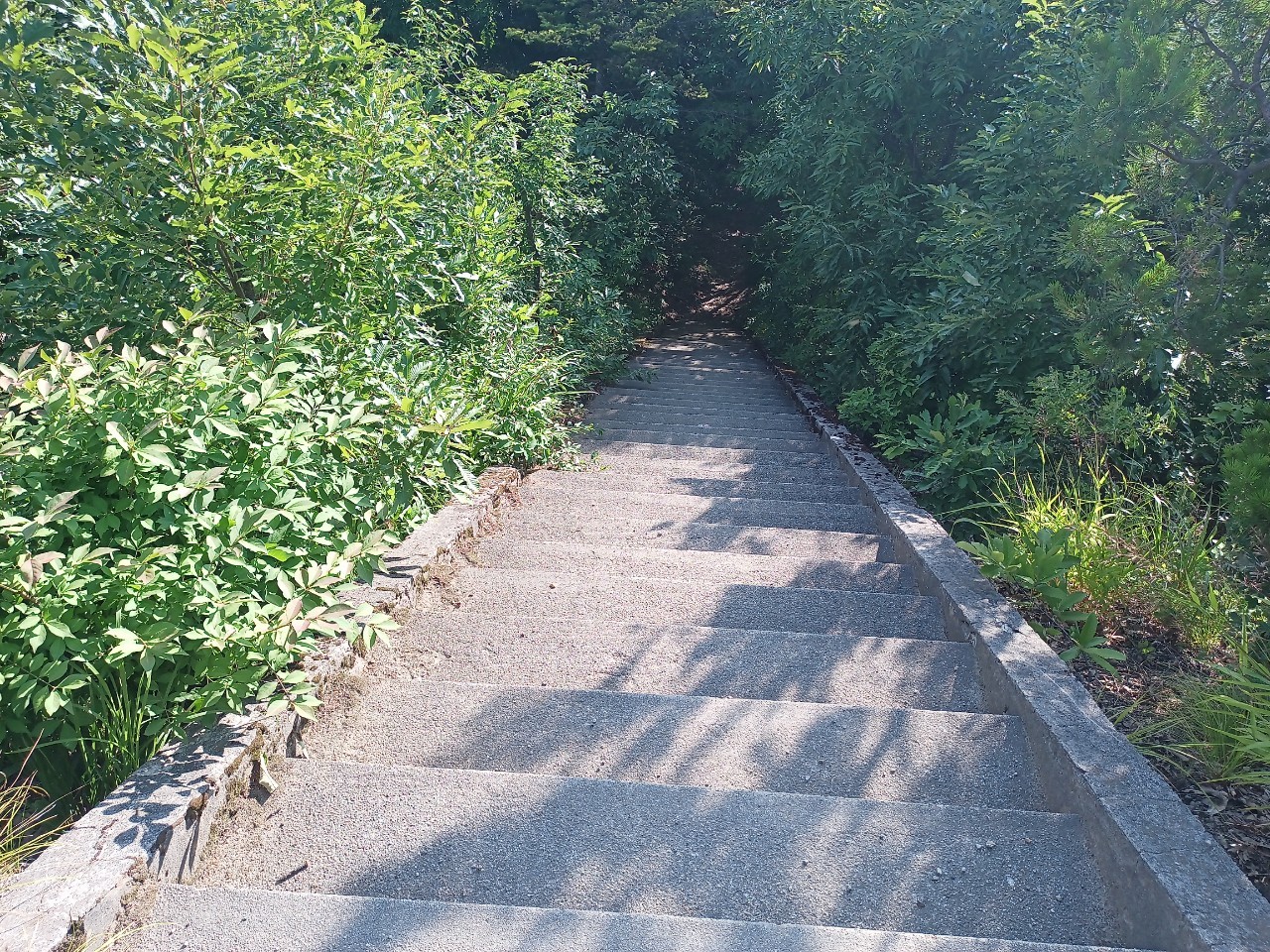 LINE_ALBUM_盃山_240630_151