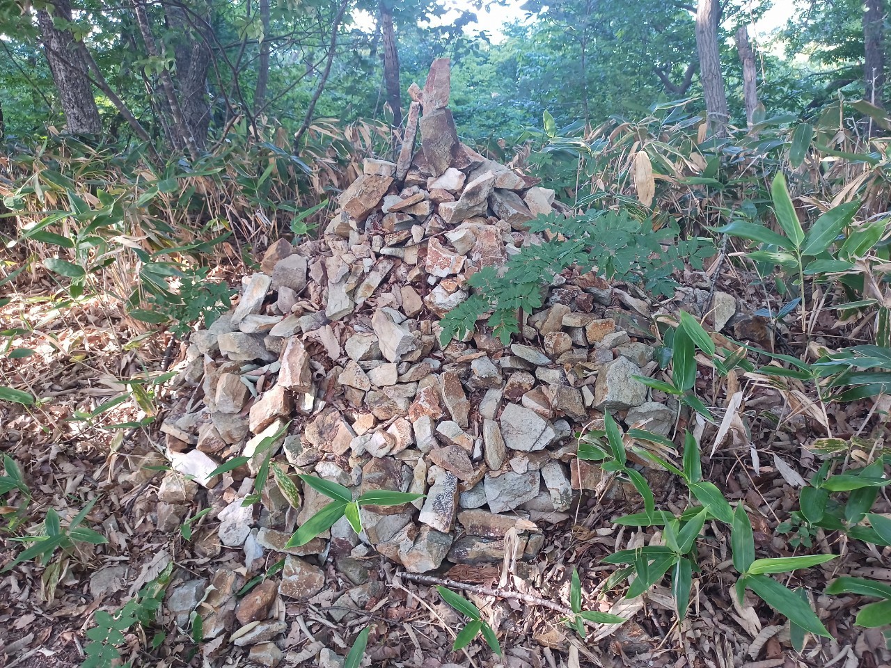 LINE_ALBUM_盃山_240630_126