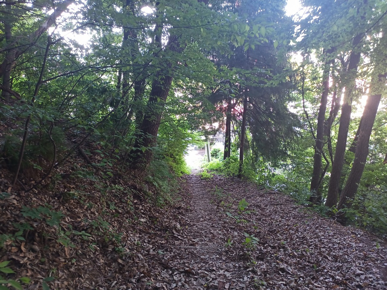 LINE_ALBUM_盃山_240630_95