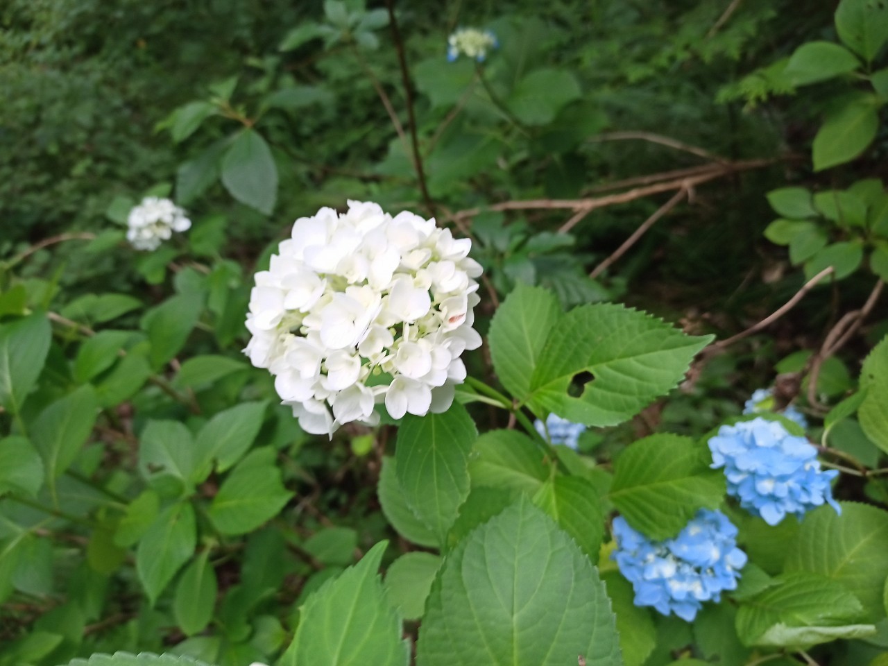 LINE_ALBUM_盃山2_240630_7