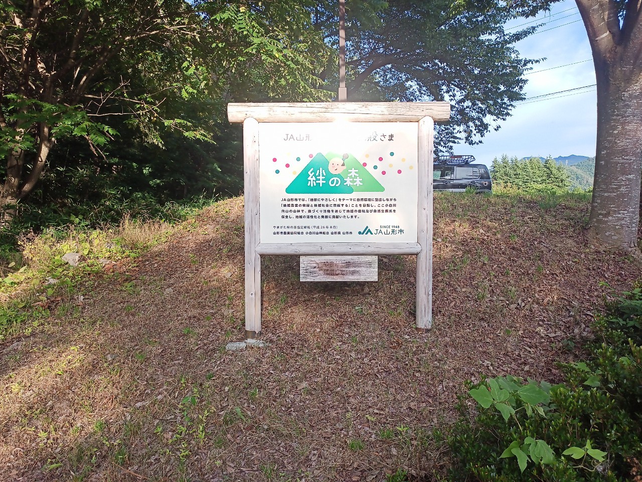 LINE_ALBUM_盃山_240630_7