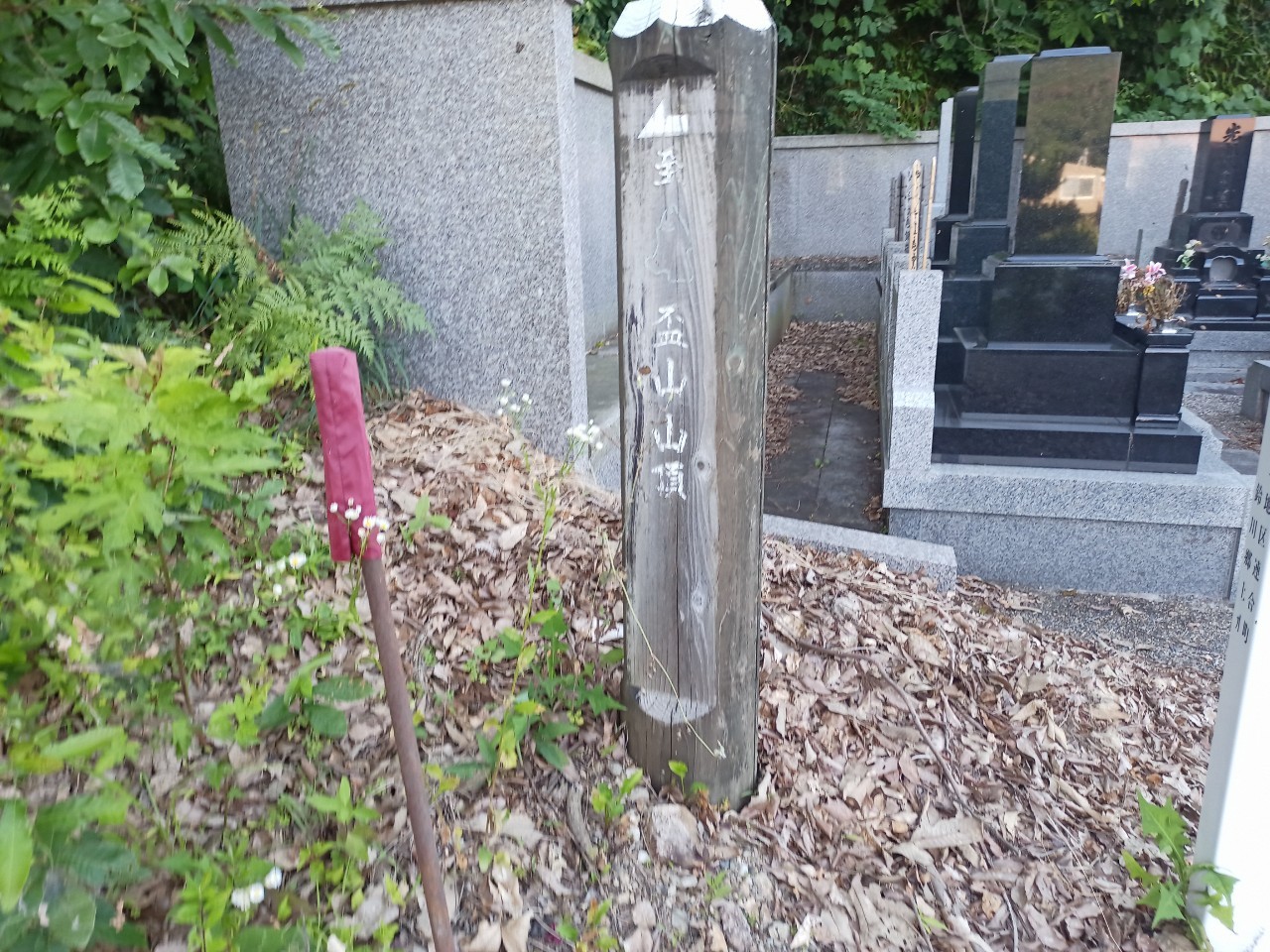 LINE_ALBUM_盃山_240630_94