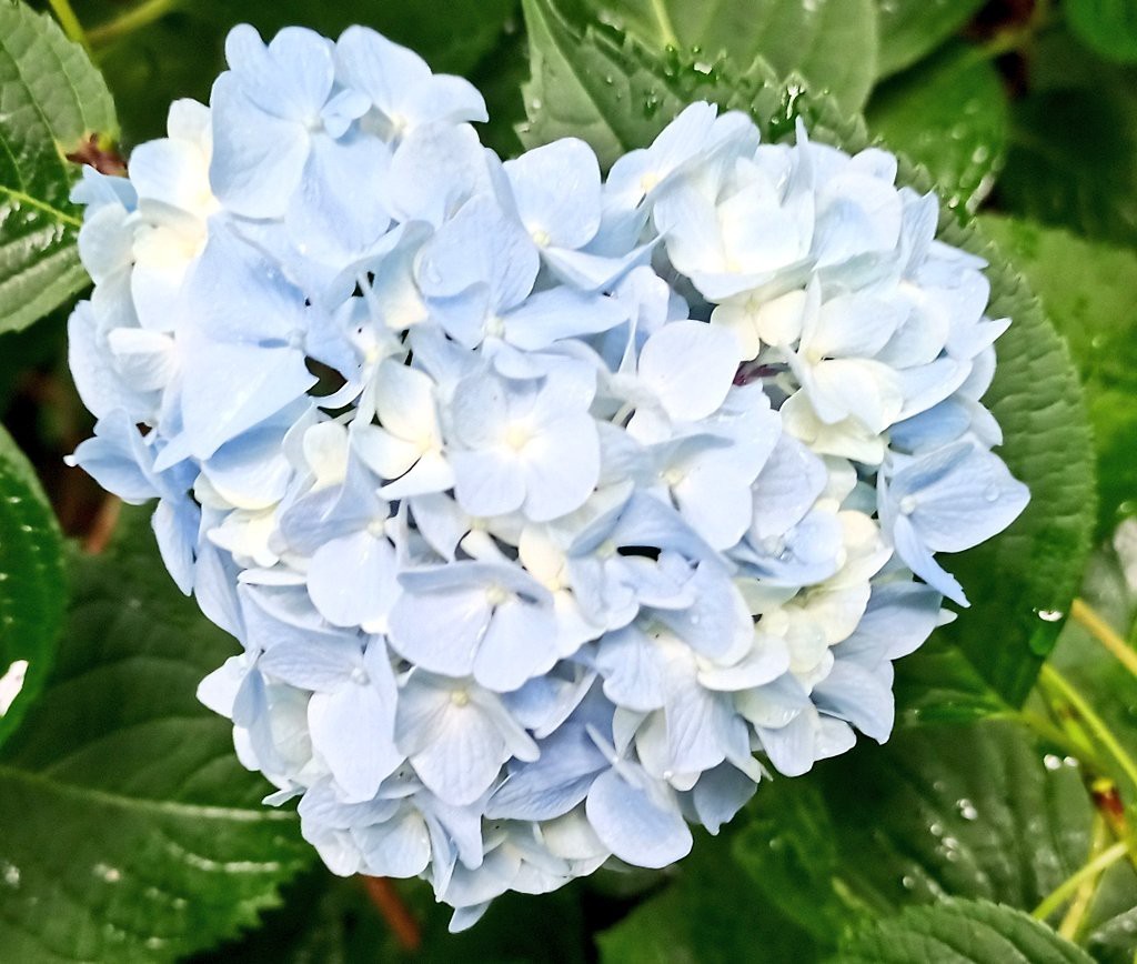 LINE_ALBUM_盃山2_240630_272