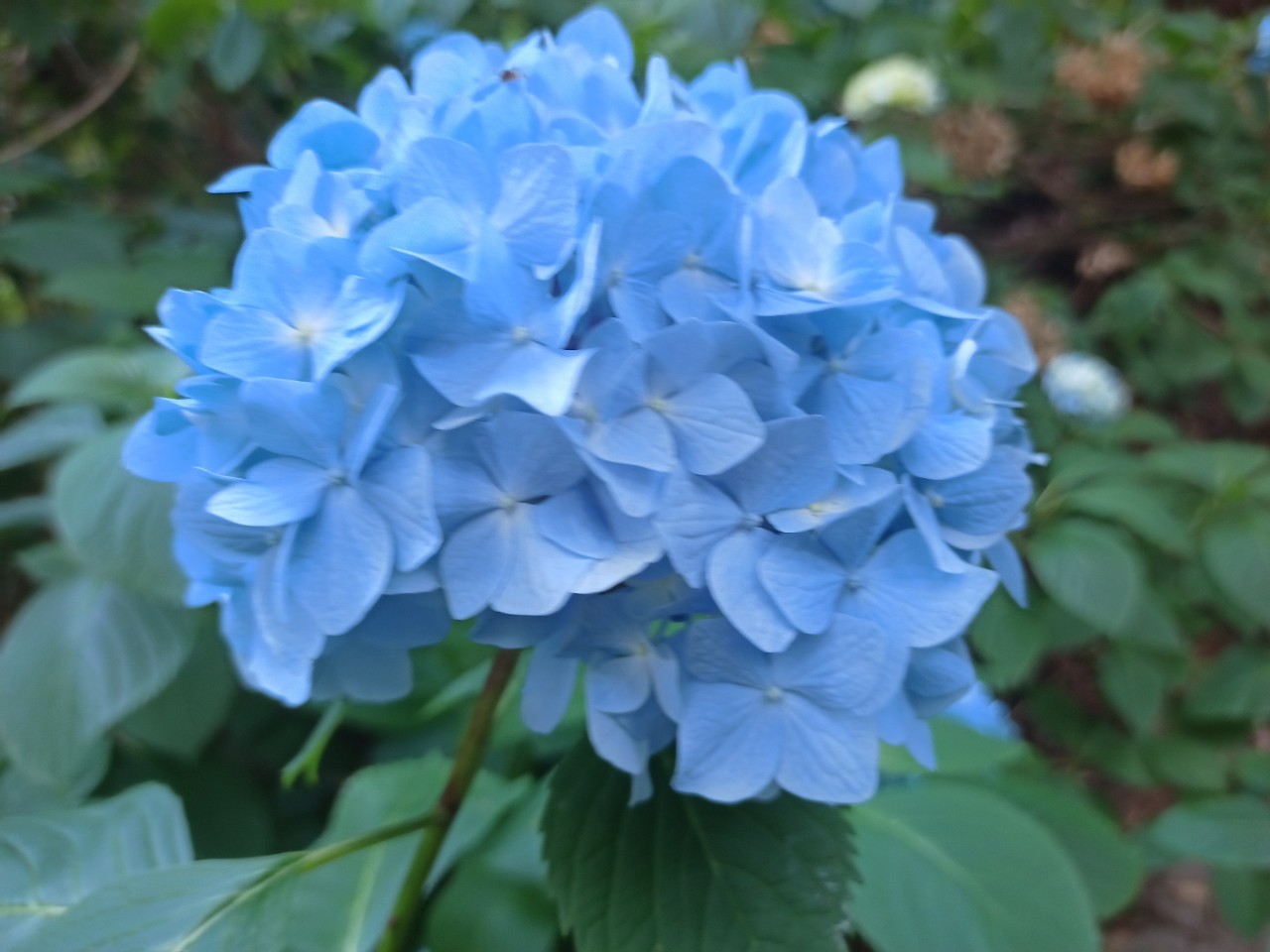 LINE_ALBUM_盃山_240630_253