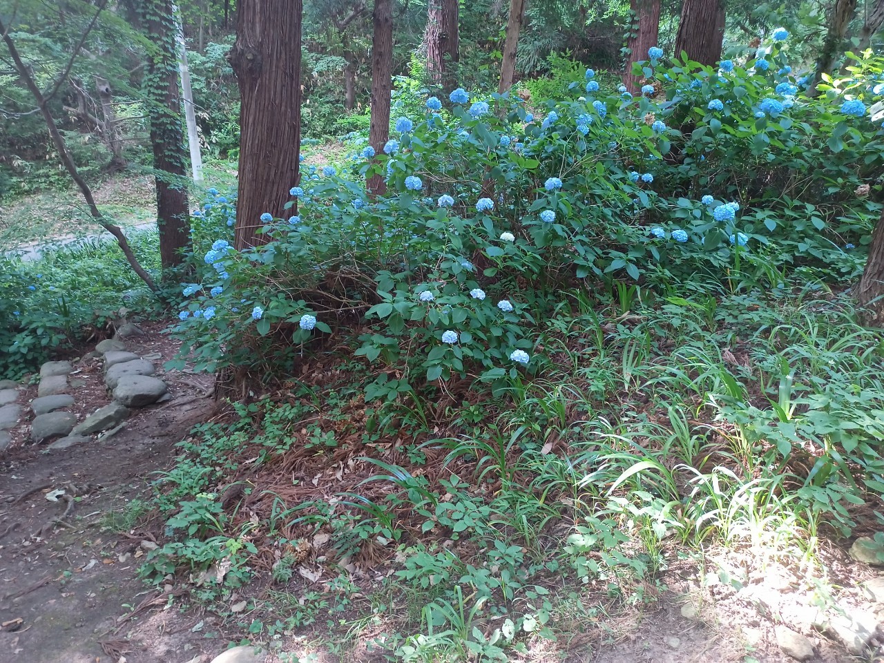 LINE_ALBUM_盃山_240630_257