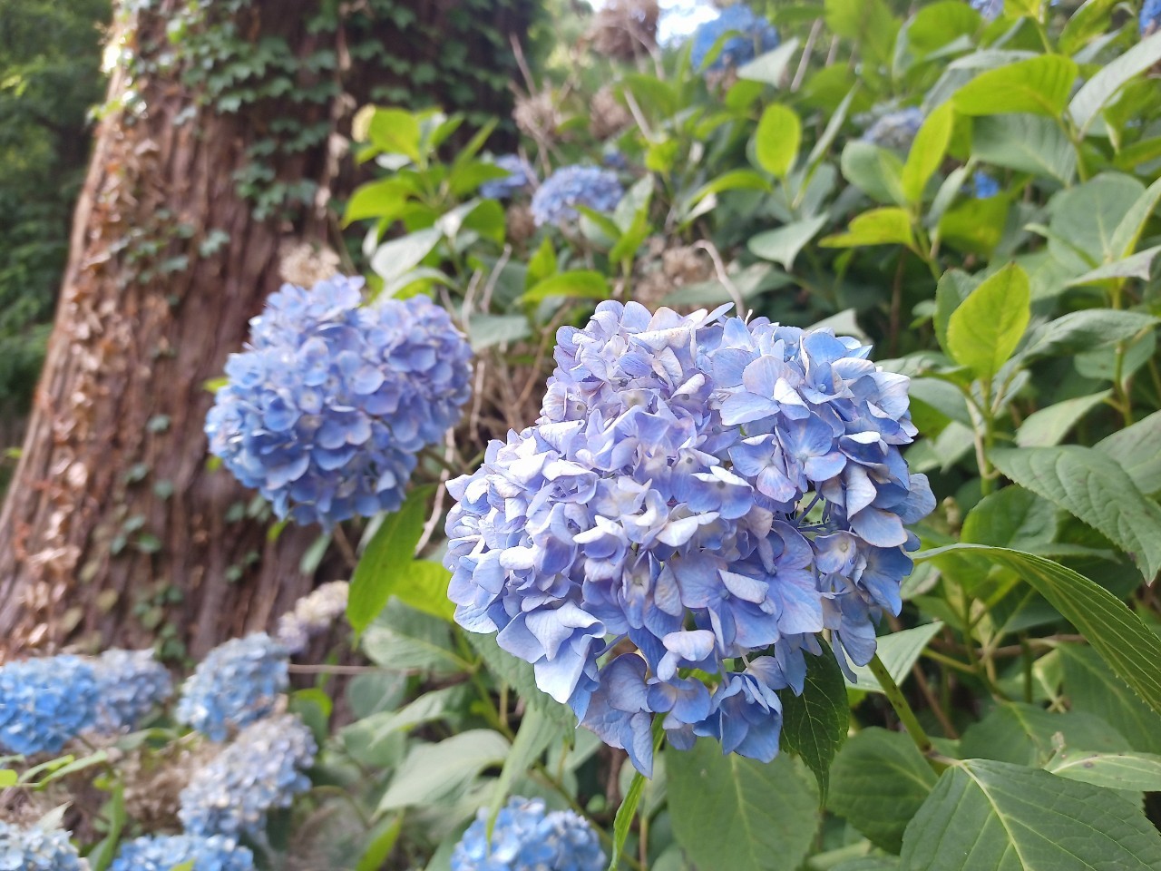 LINE_ALBUM_盃山_240630_270