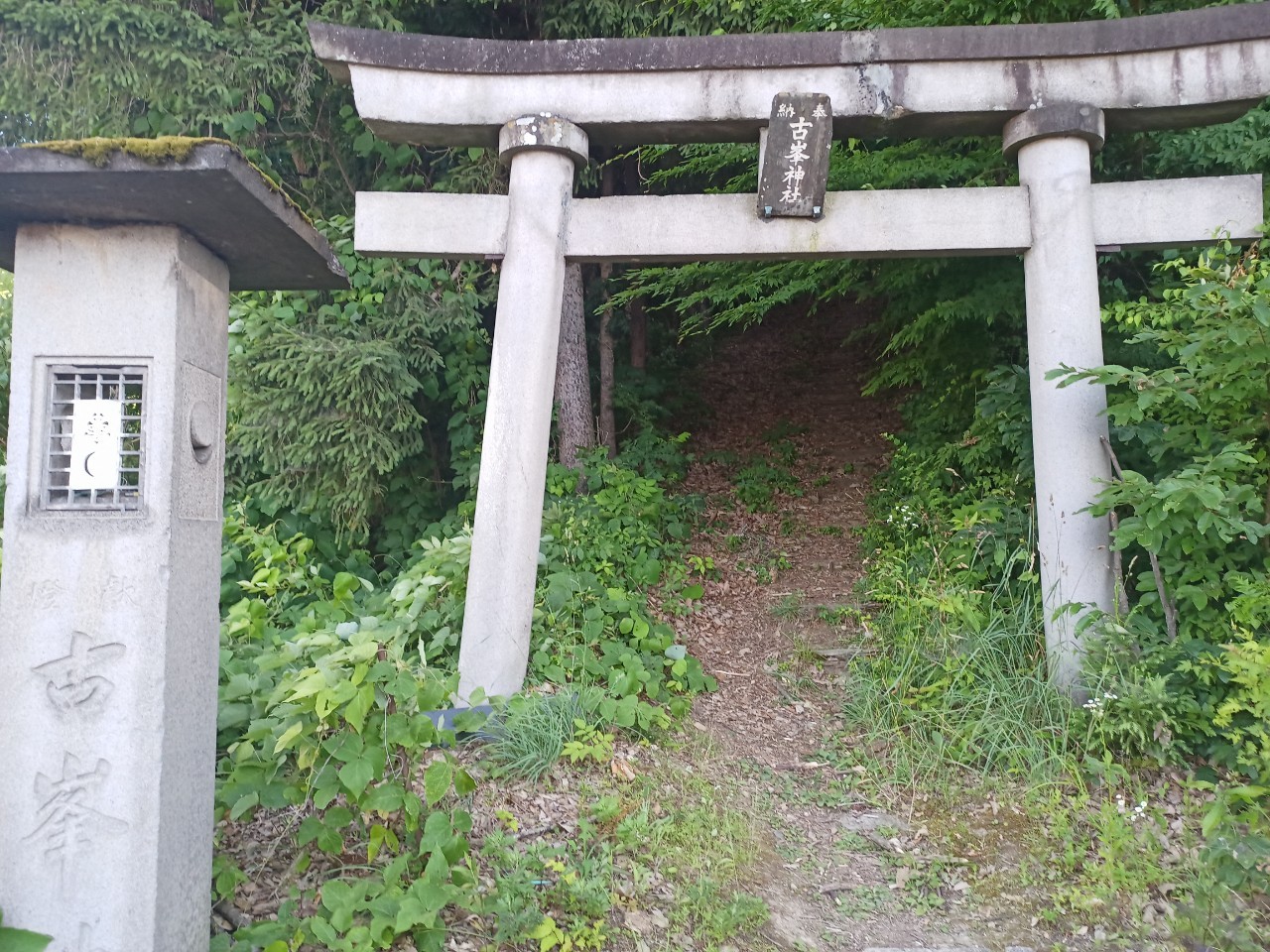 LINE_ALBUM_盃山_240630_93