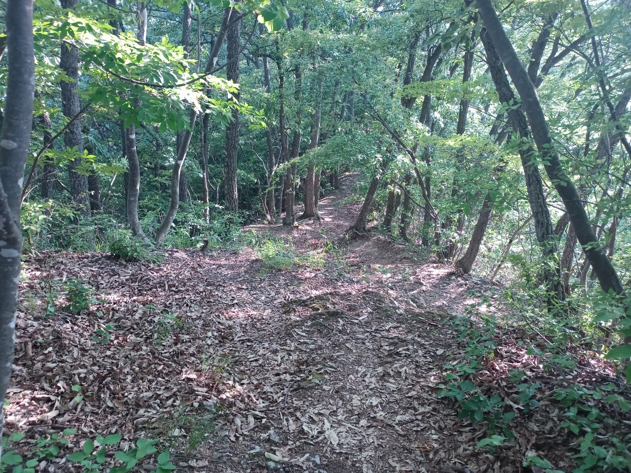 LINE_ALBUM_盃山_240630_136