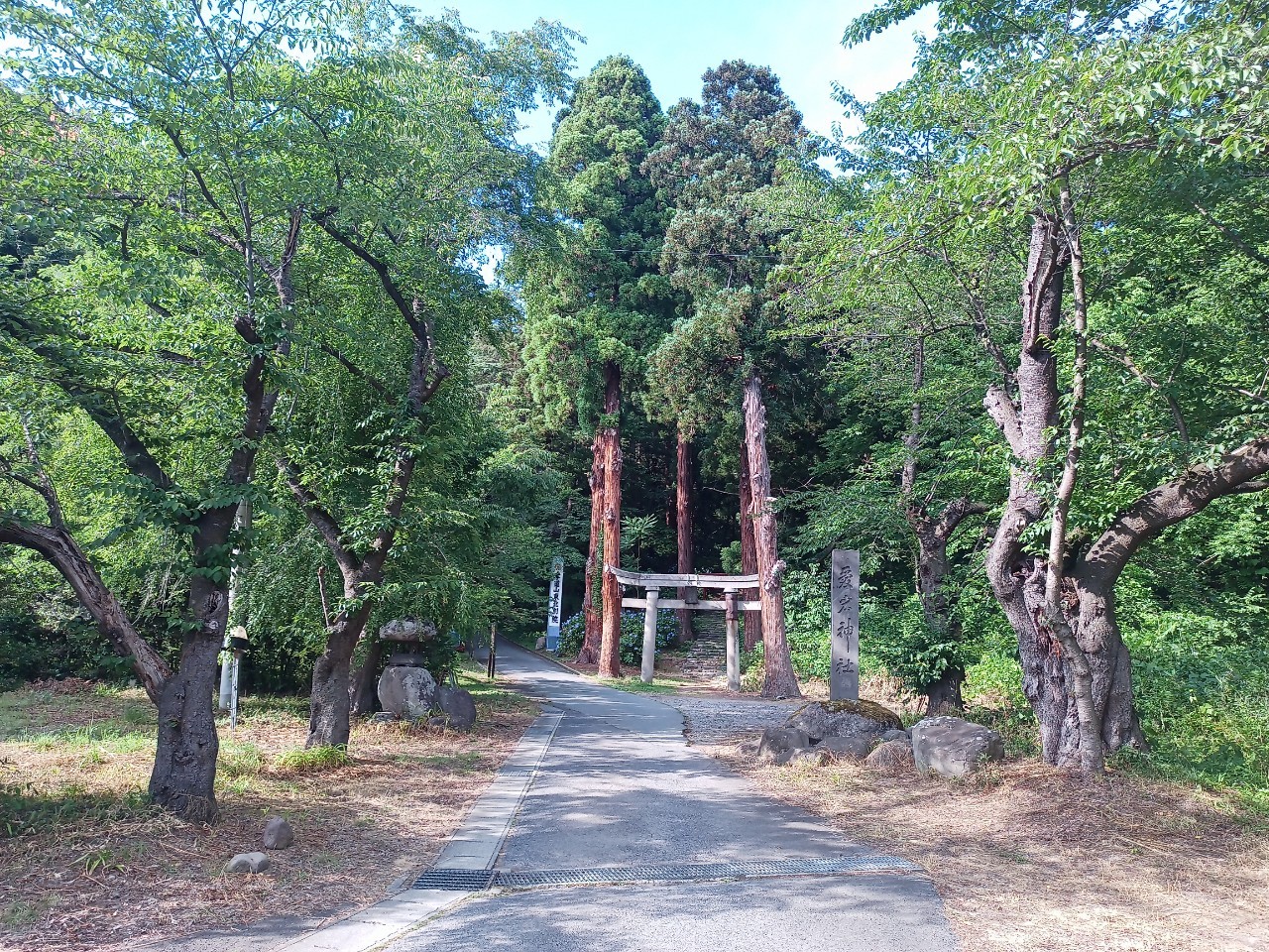 LINE_ALBUM_盃山_240630_277