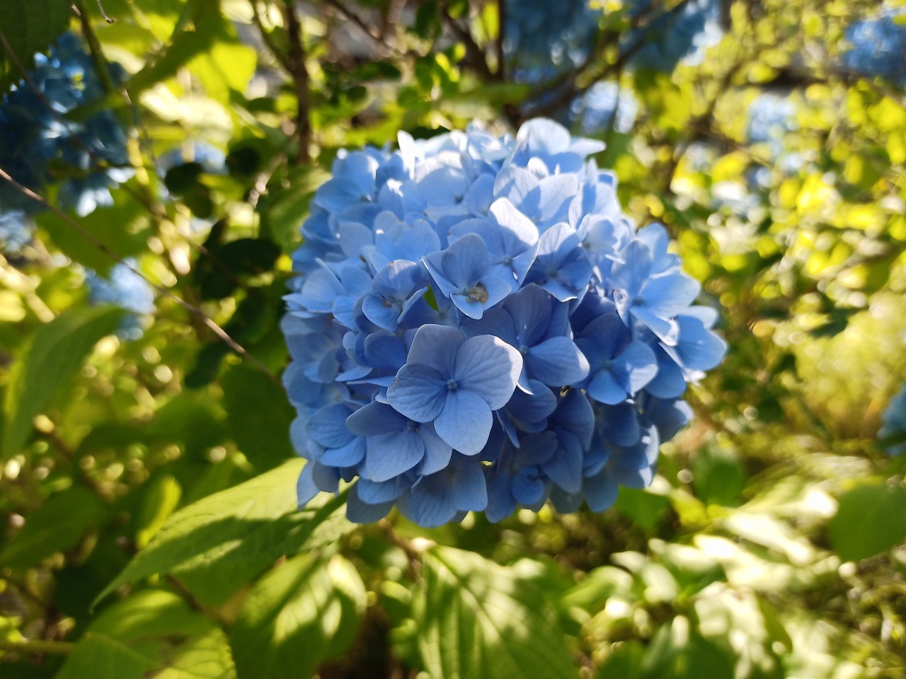 LINE_ALBUM_盃山_240630_208