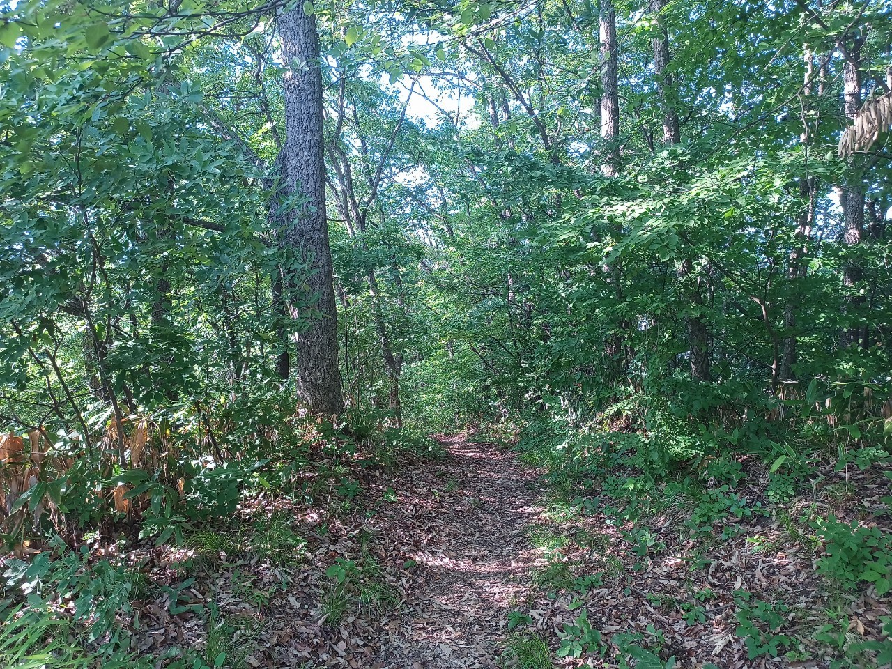 LINE_ALBUM_盃山_240630_118