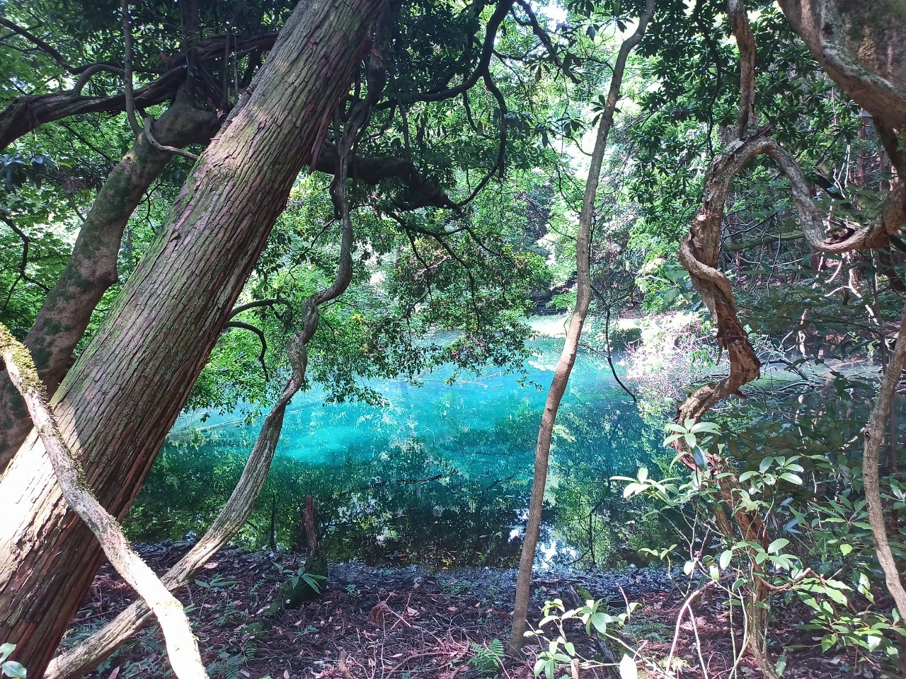 LINE_ALBUM_丸池様_240724_43