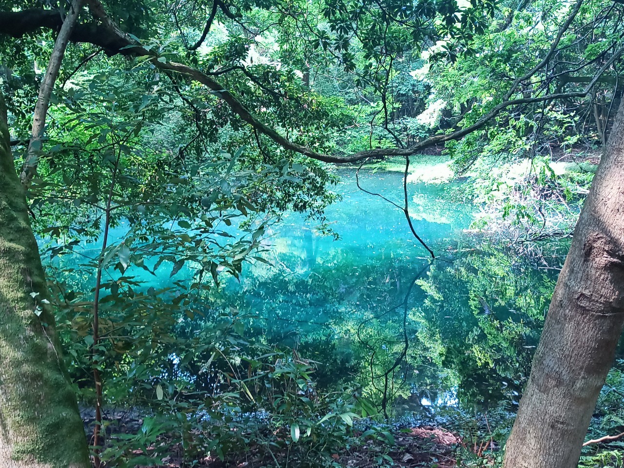 LINE_ALBUM_丸池様_240724_53