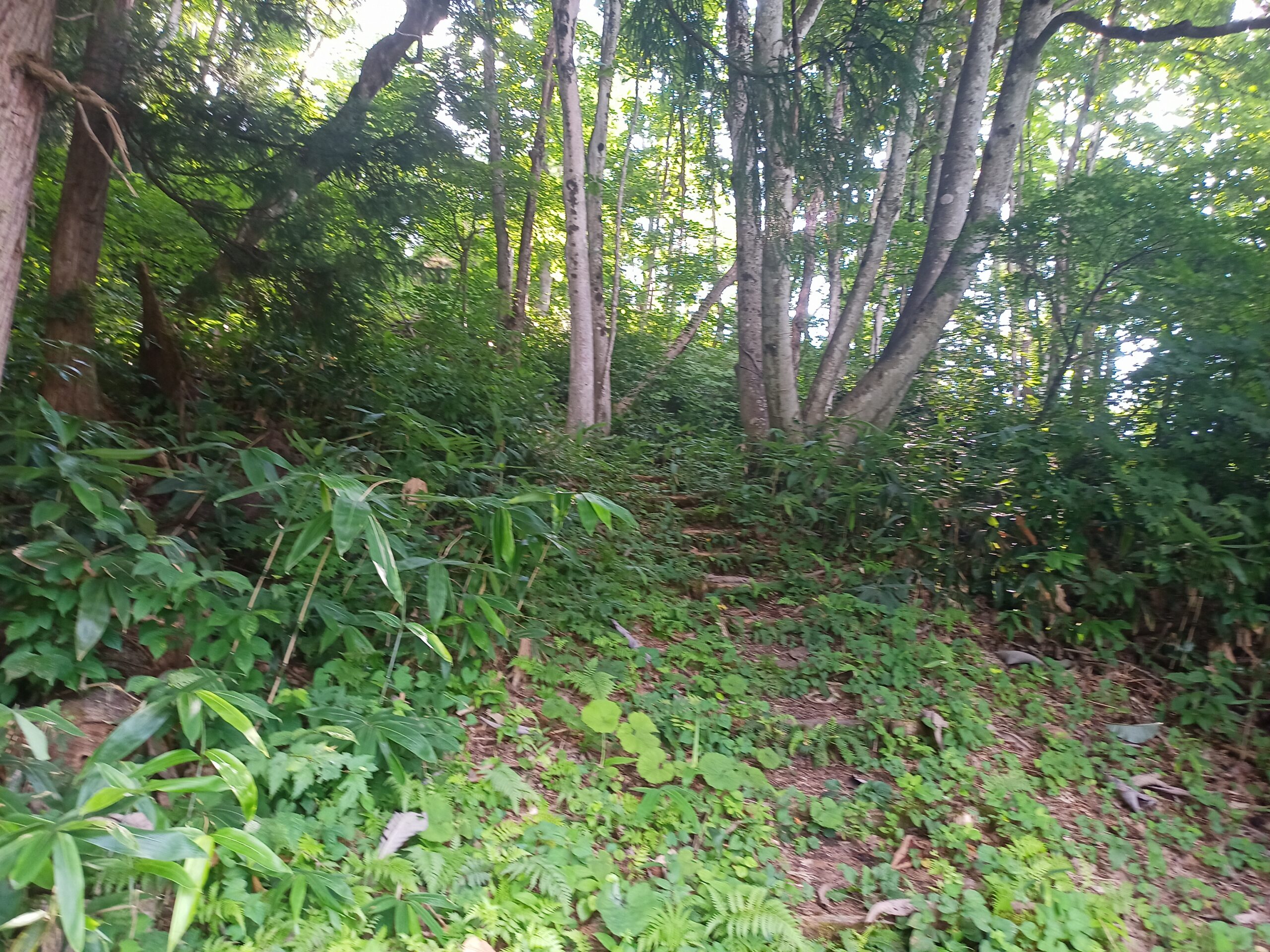 IMG_20230728_162820_547