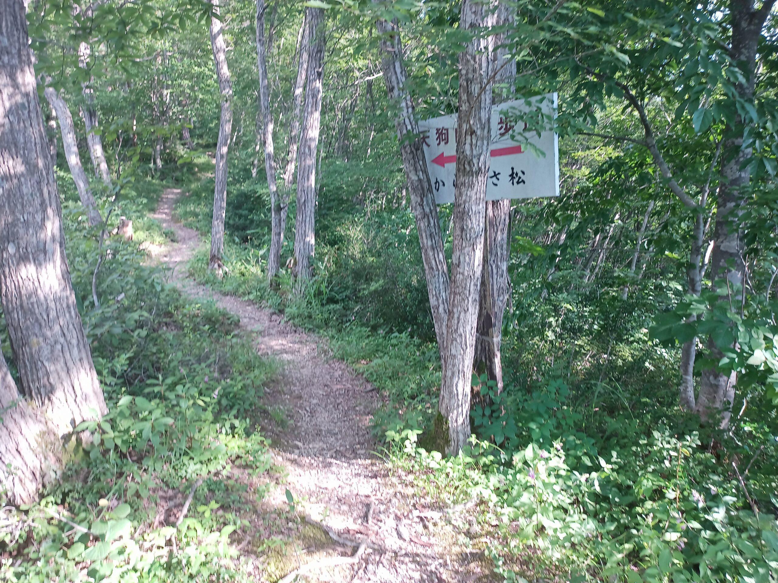 IMG_20230728_163128_181