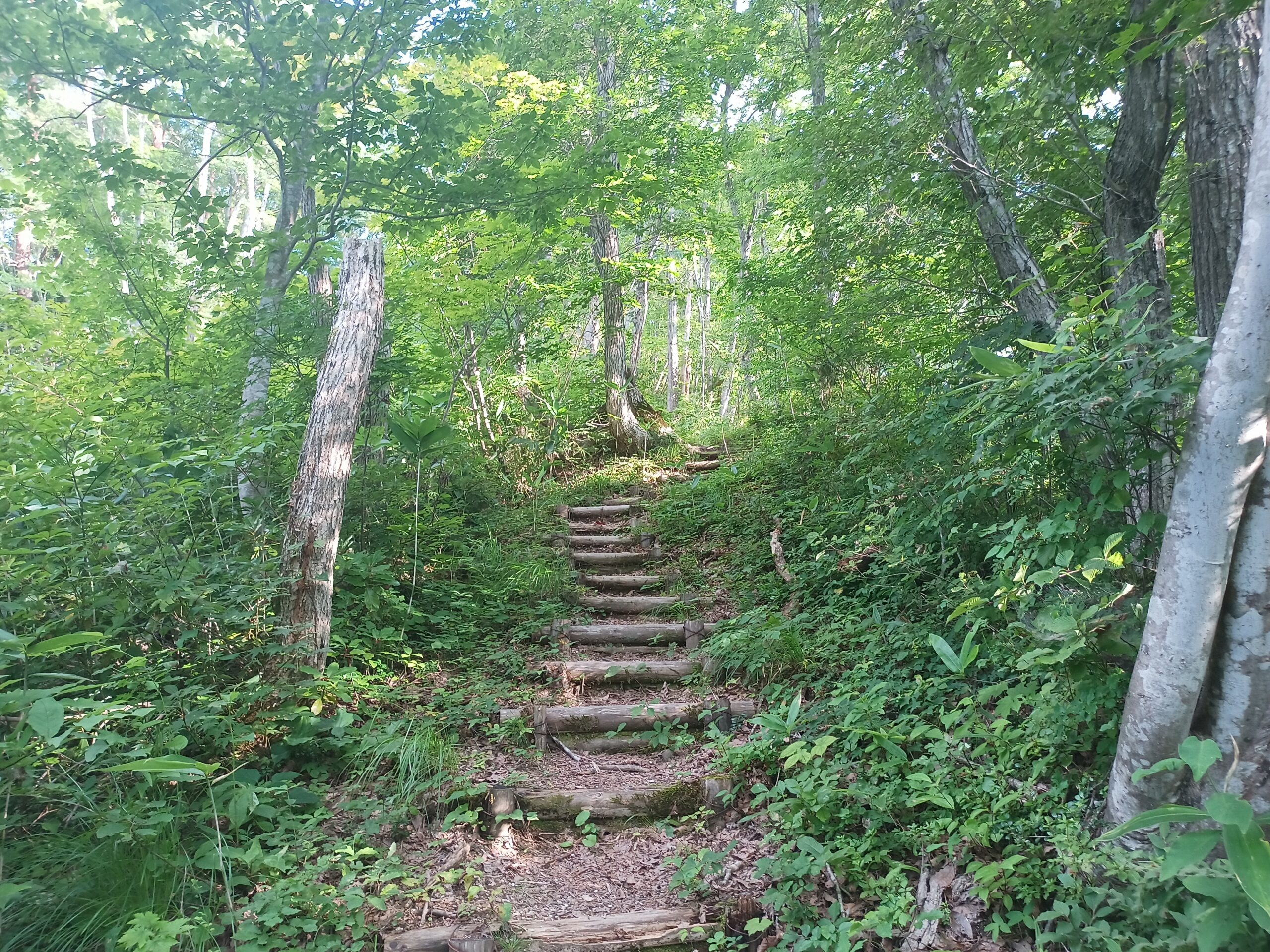 IMG_20230728_164152_257