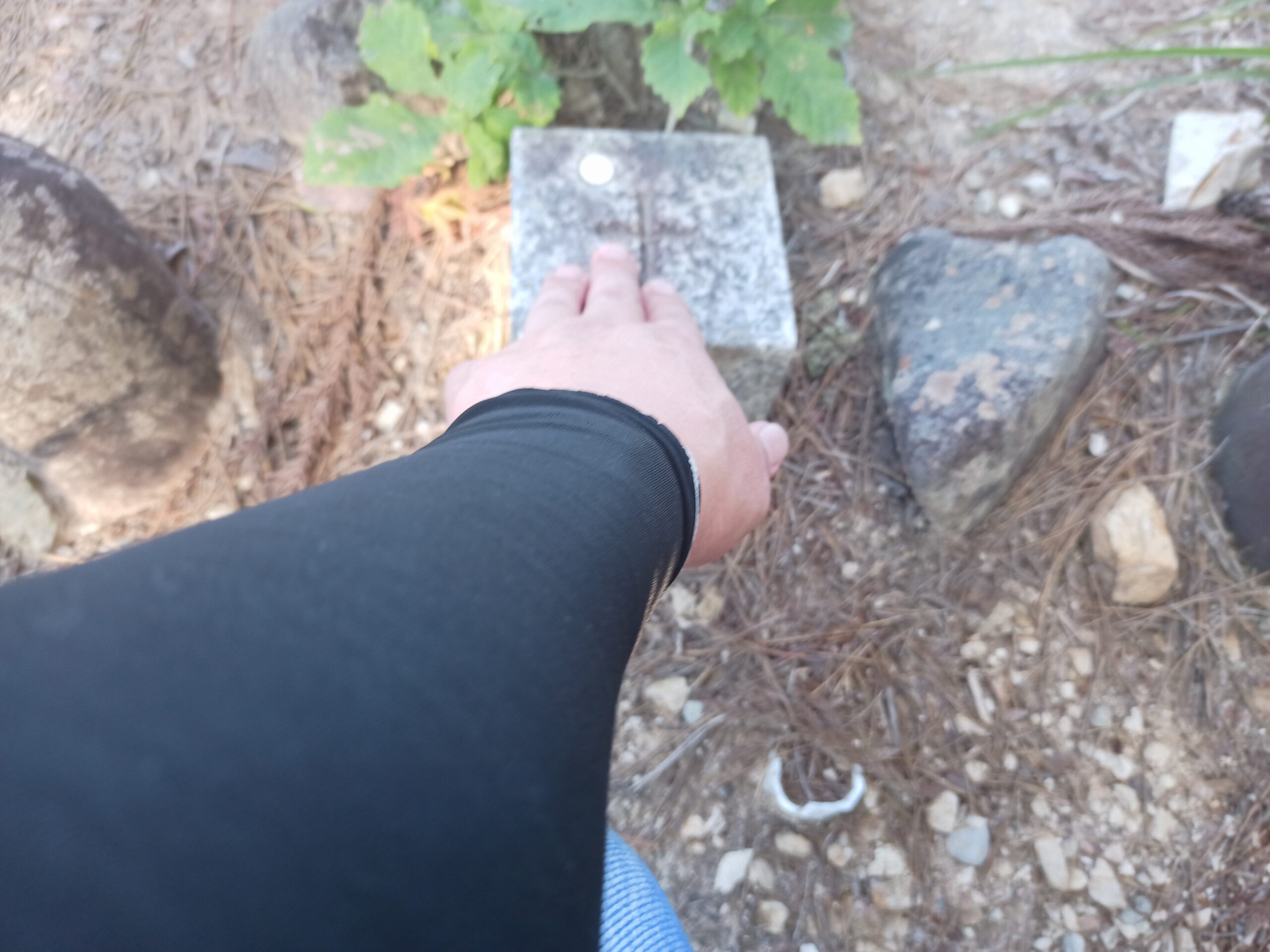 IMG_20230728_170618_470