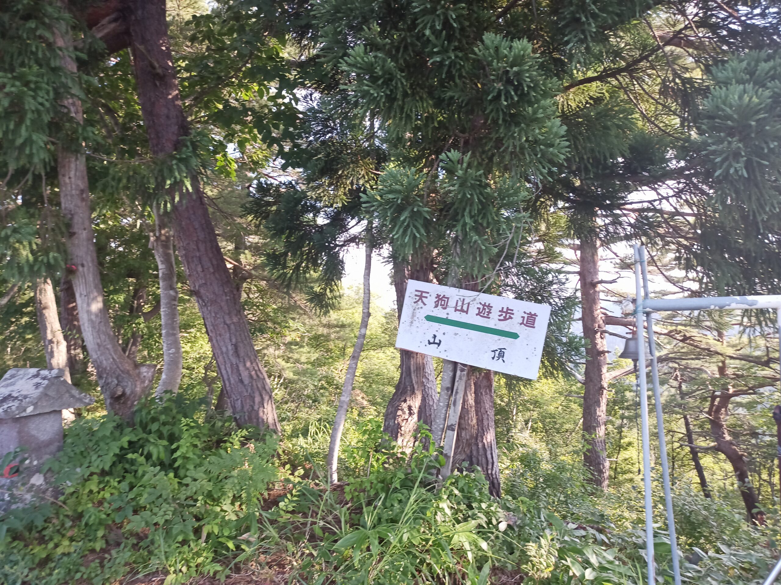 IMG_20230728_170759_782