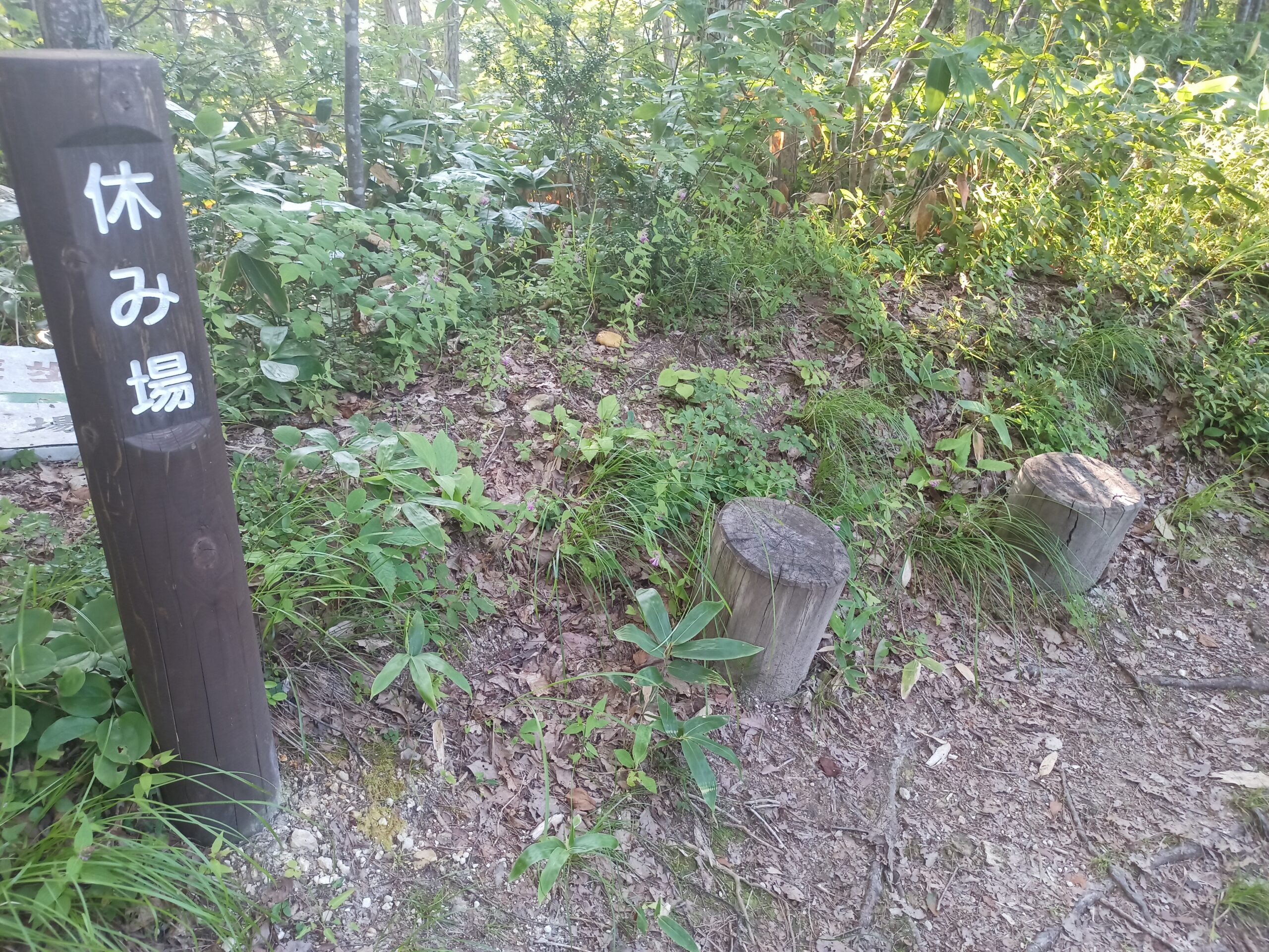 IMG_20230728_172127_962