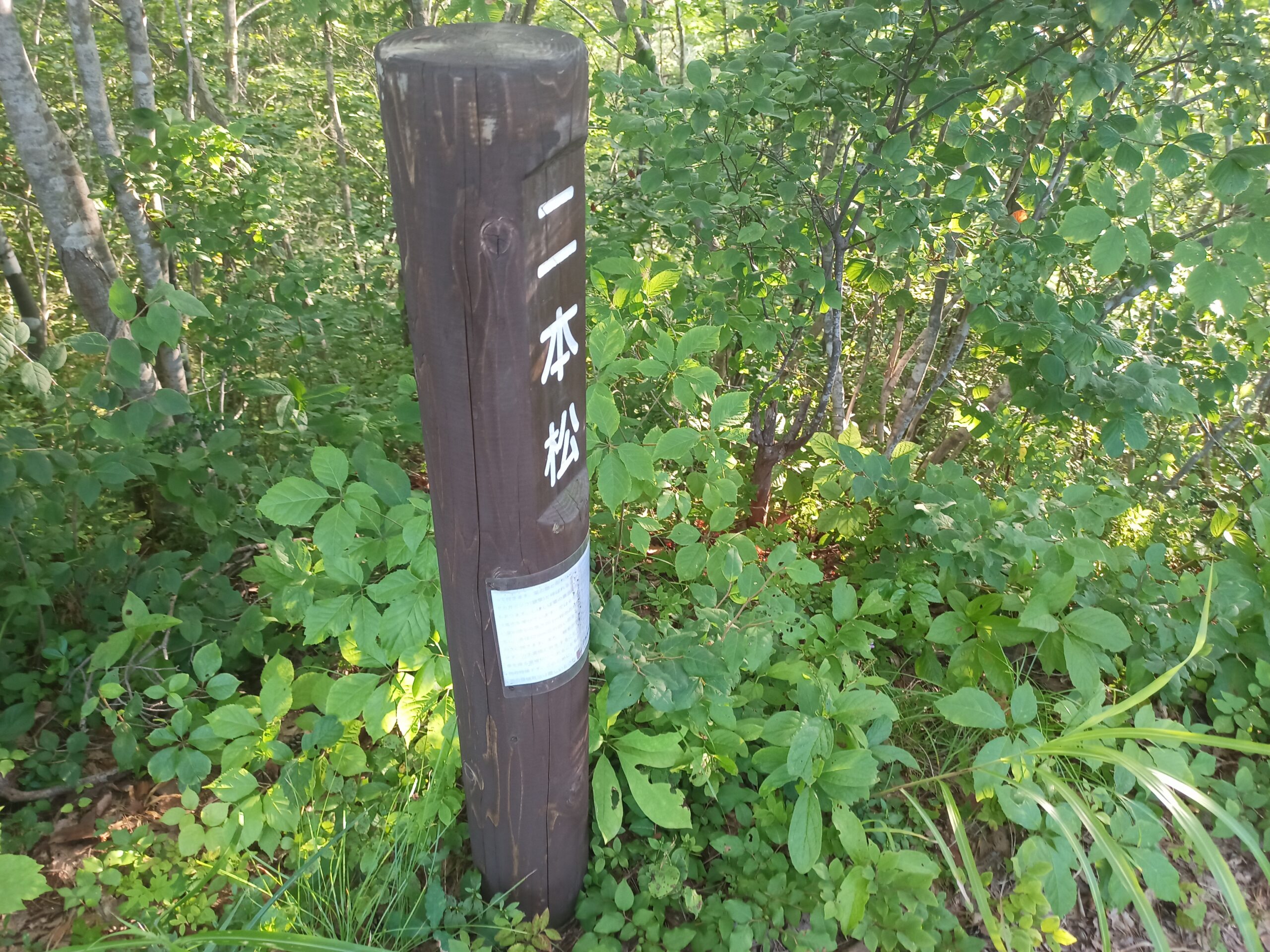 IMG_20230728_172845_778