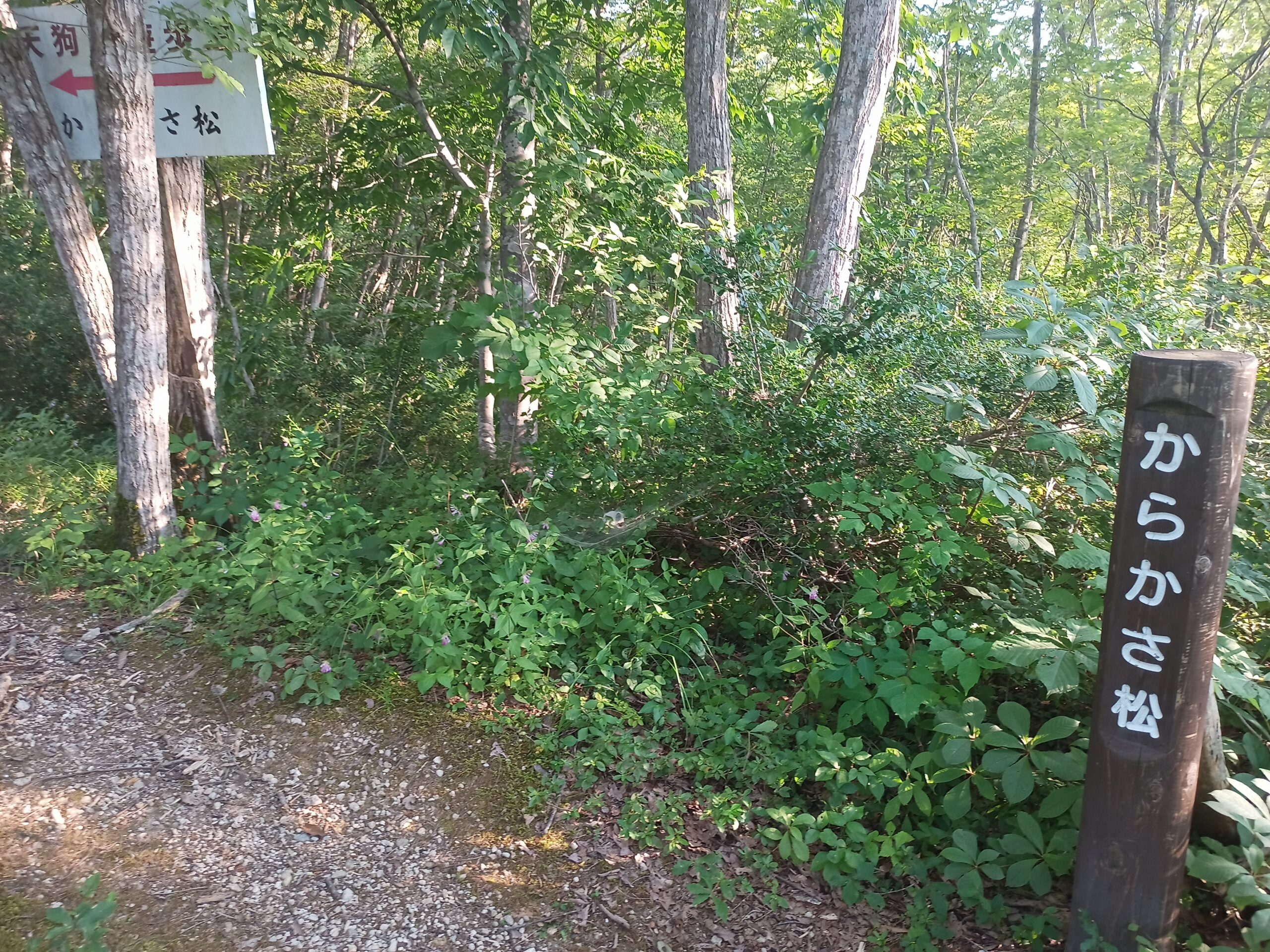 IMG_20230728_173412_065