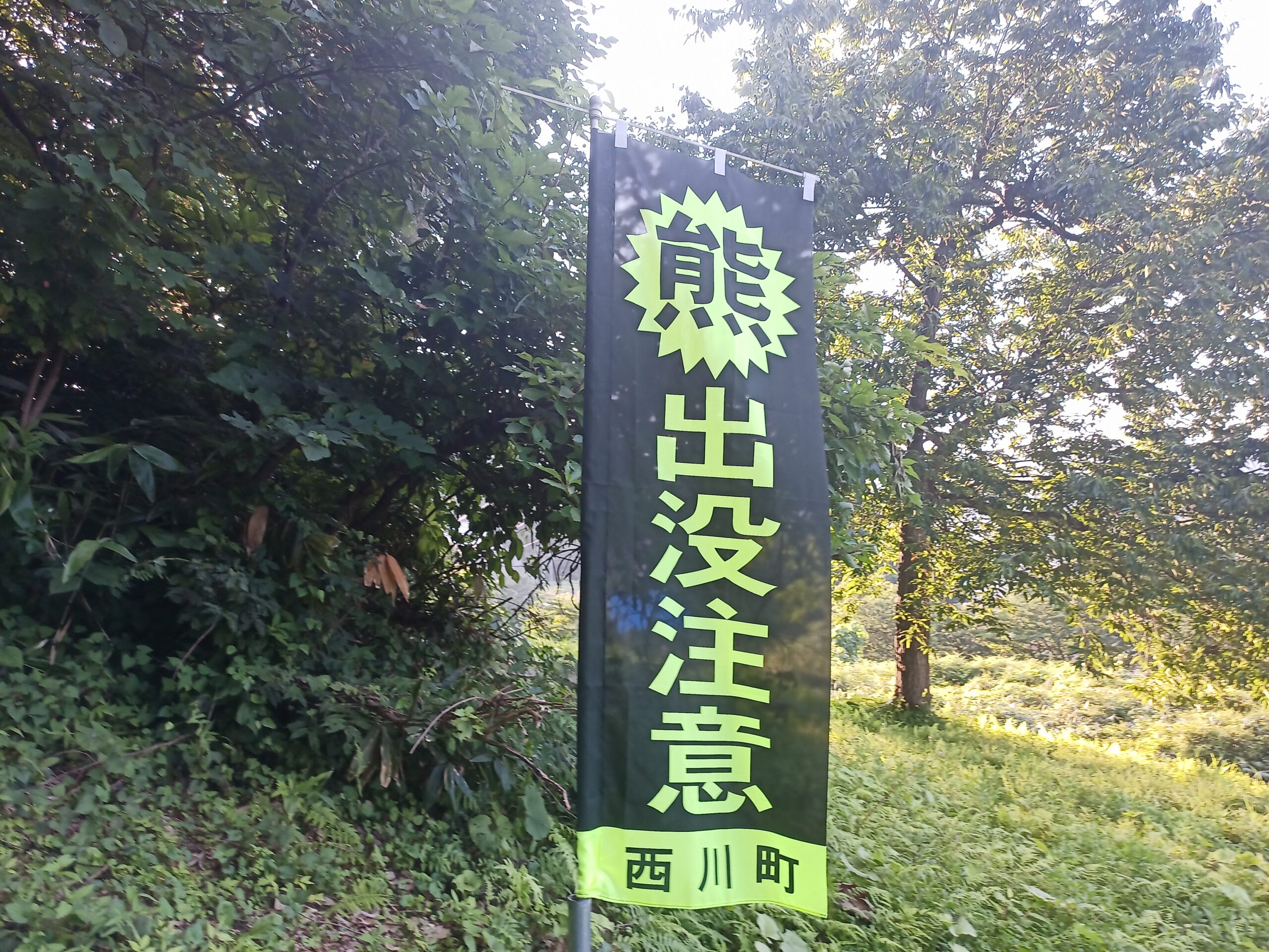 IMG_20230728_173927_534