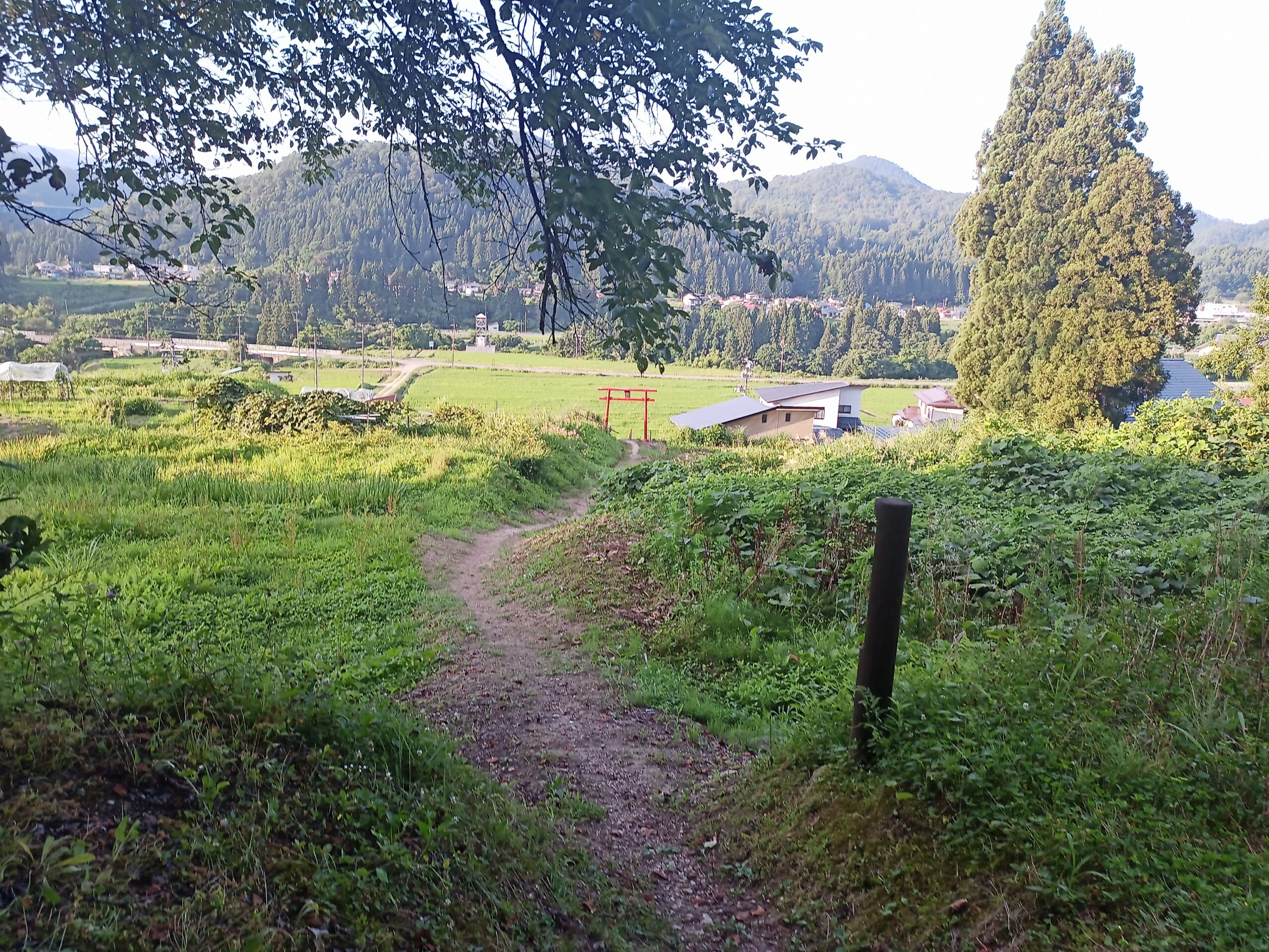 IMG_20230728_174248_465