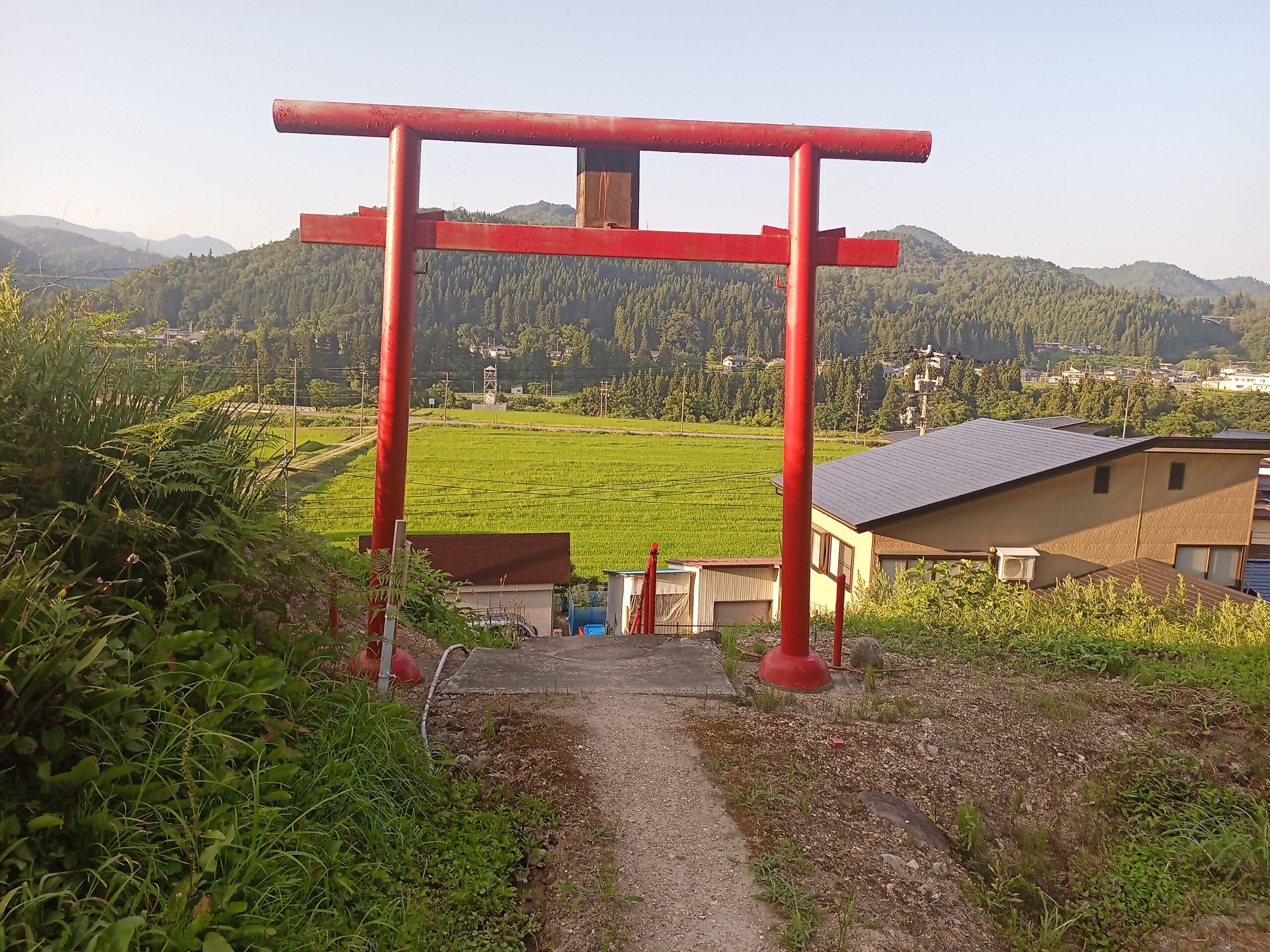 IMG_20230728_174507_193