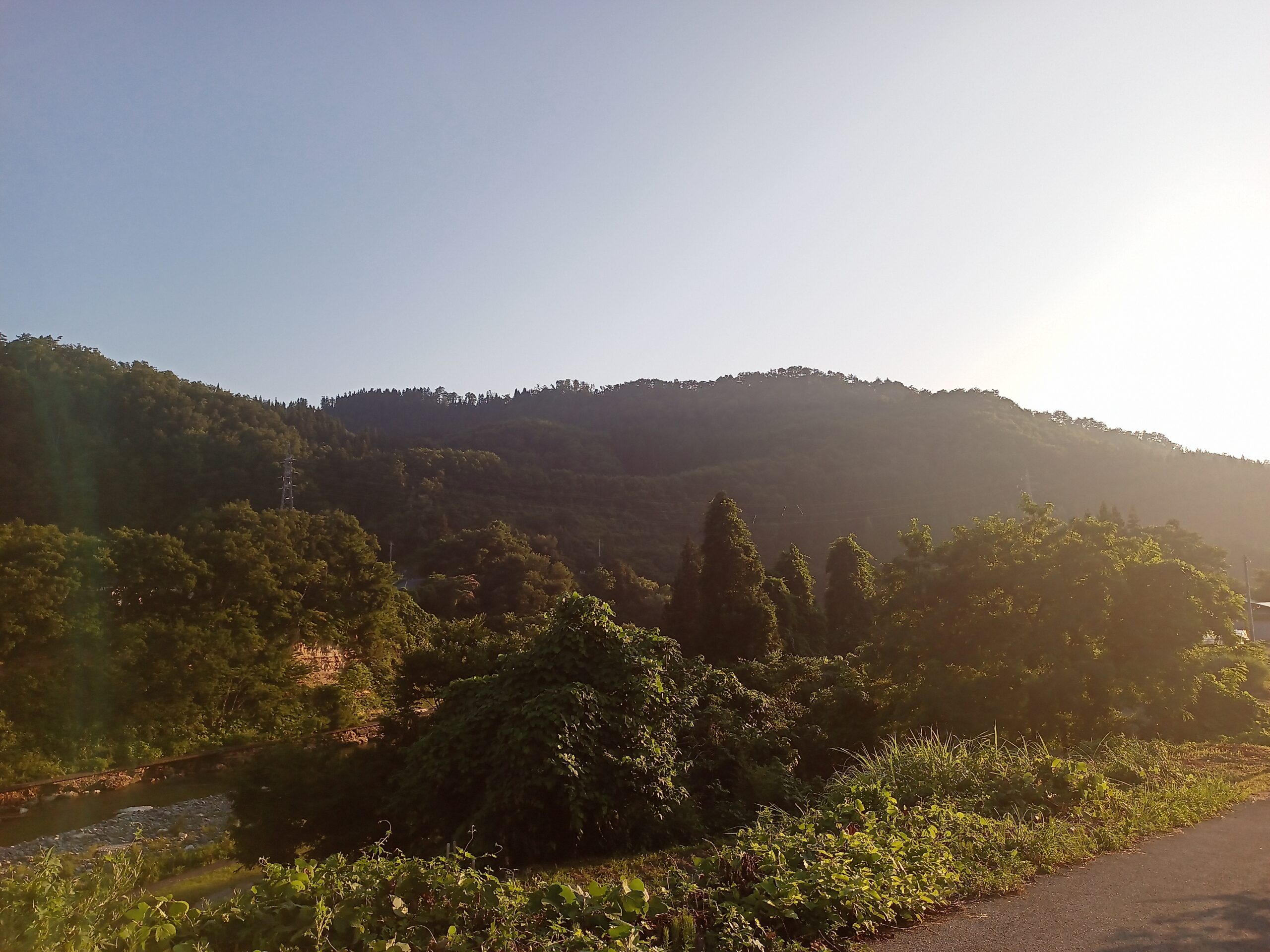 IMG_20230728_175840_681