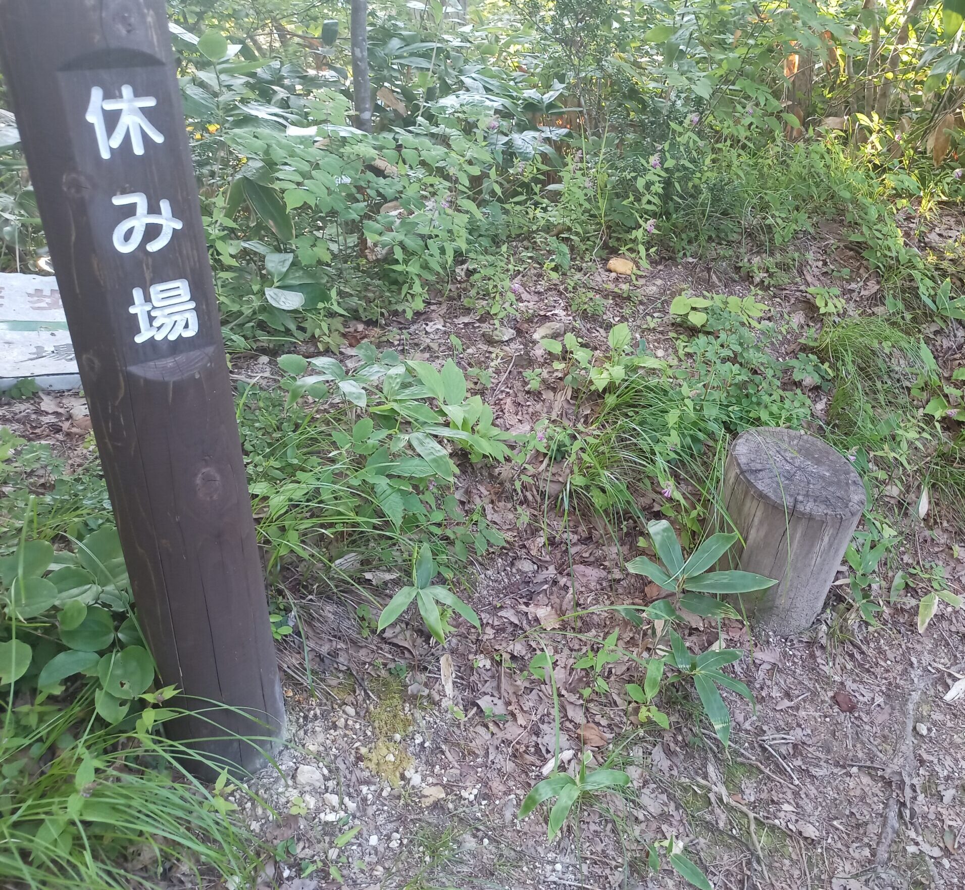 IMG_20230cc728_172127_962