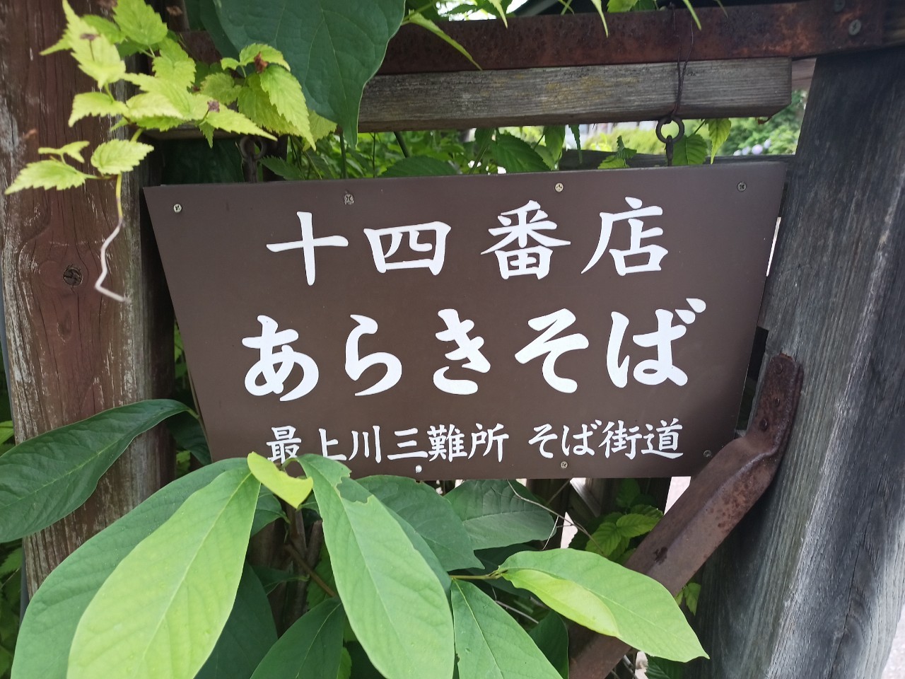 LINE_ALBUM_あらきそば_240715_9