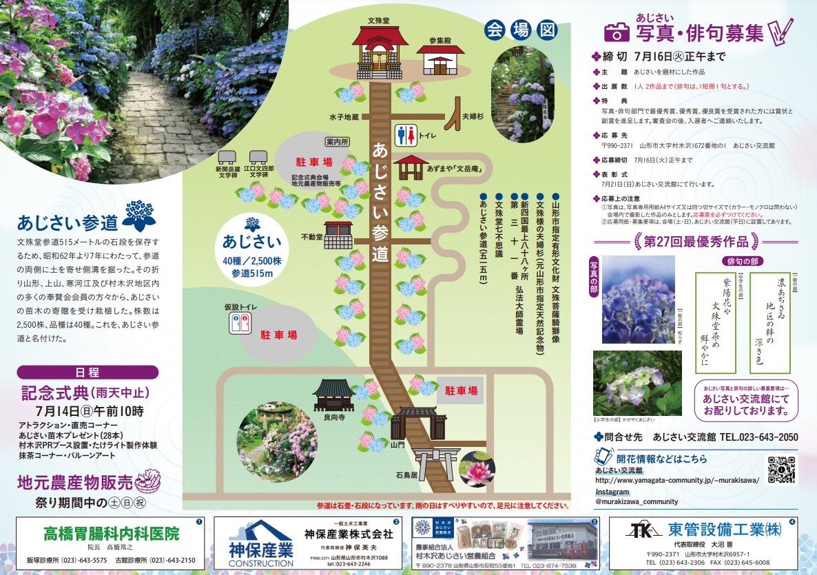 むらきざわあじさい2