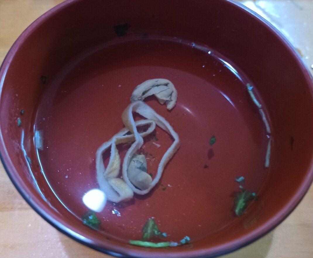 LINE_ALBUM_日本一_240727_16