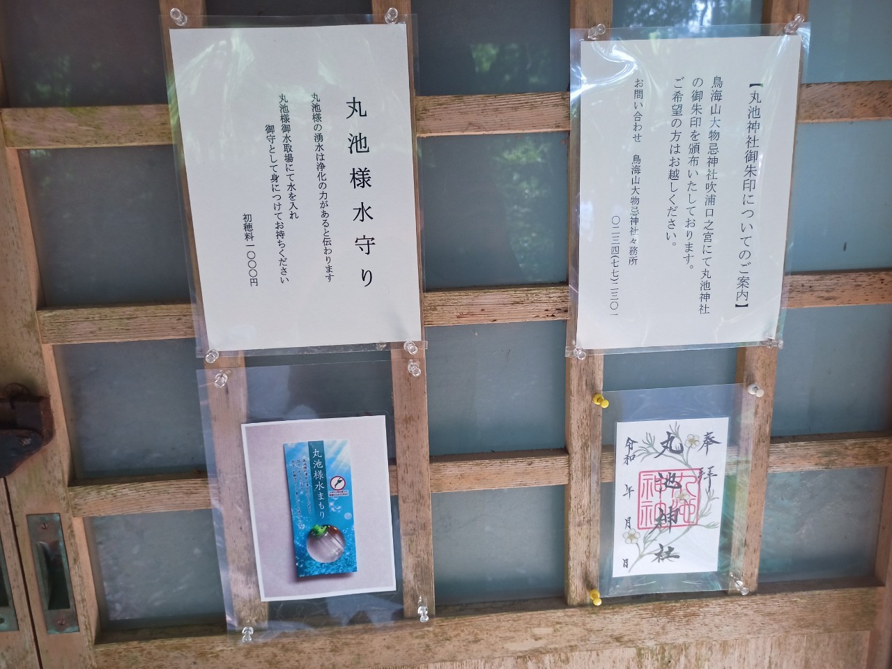 LINE_ALBUM_丸池様_240724_48