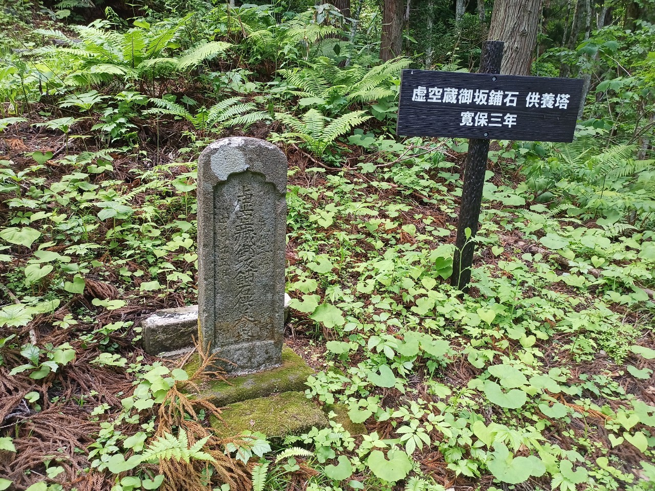 LINE_ALBUM_白鷹山20240608_240823_227