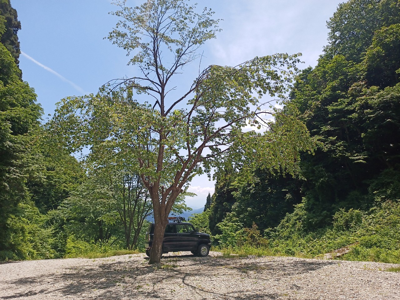 LINE_ALBUM_白鷹山20240608_240823_241