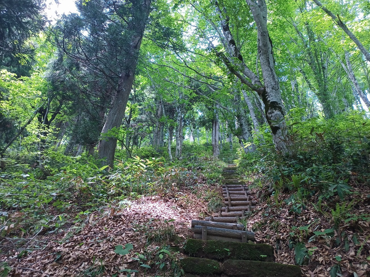 LINE_ALBUM_白鷹山20240608_240823_177