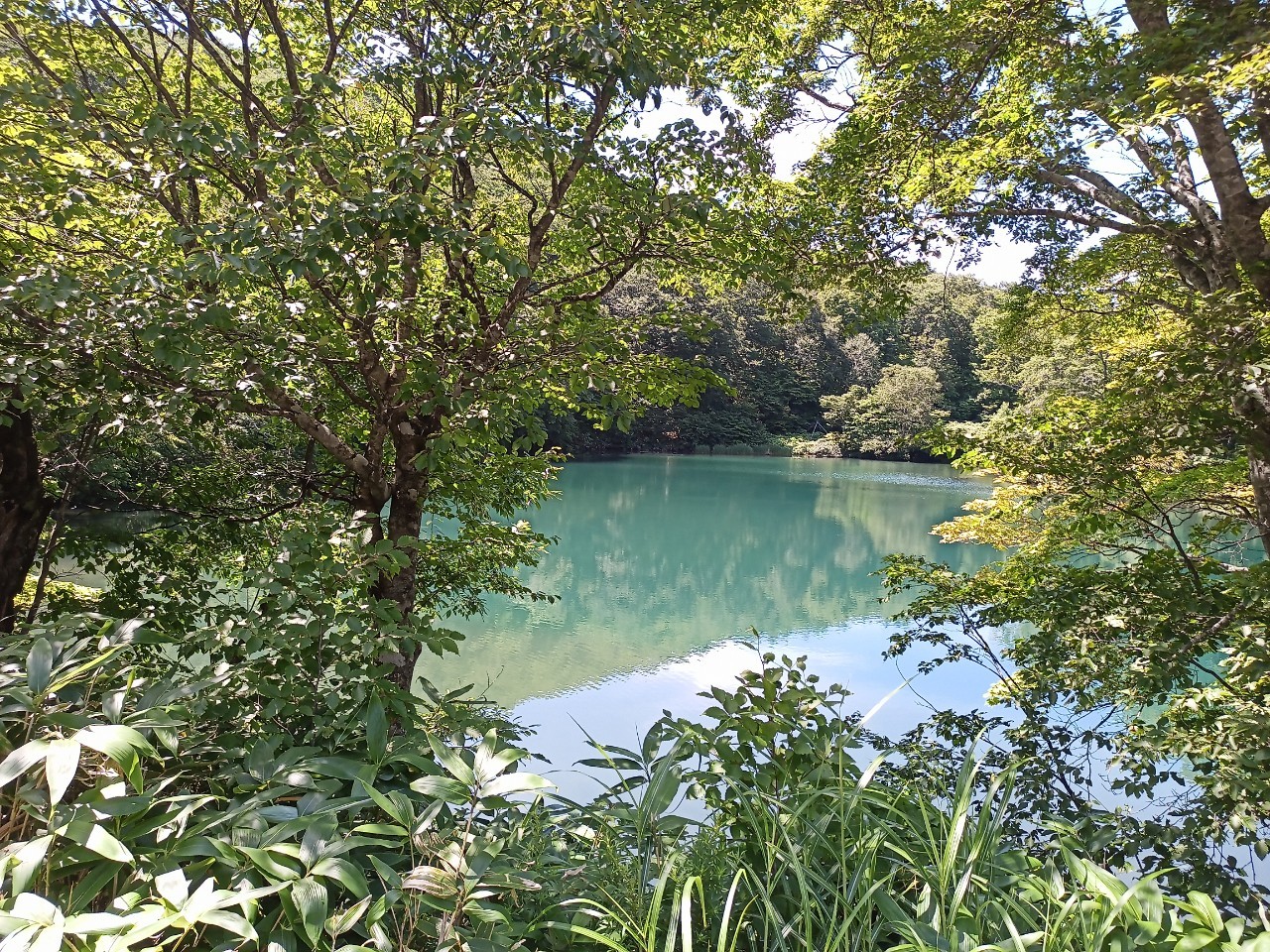 LINE_ALBUM_鳥兜山_240828_110