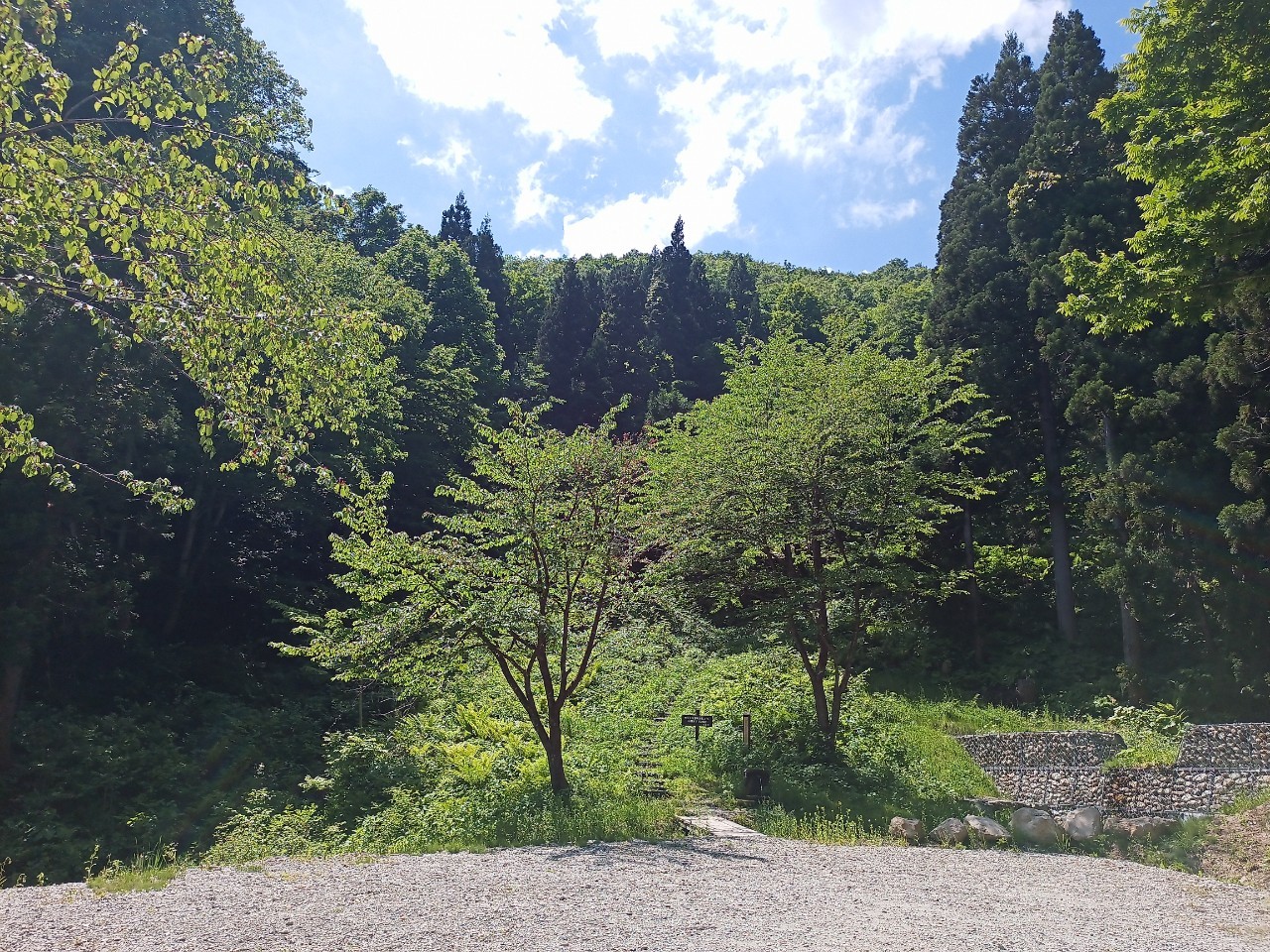 LINE_ALBUM_白鷹山20240608_240823_53