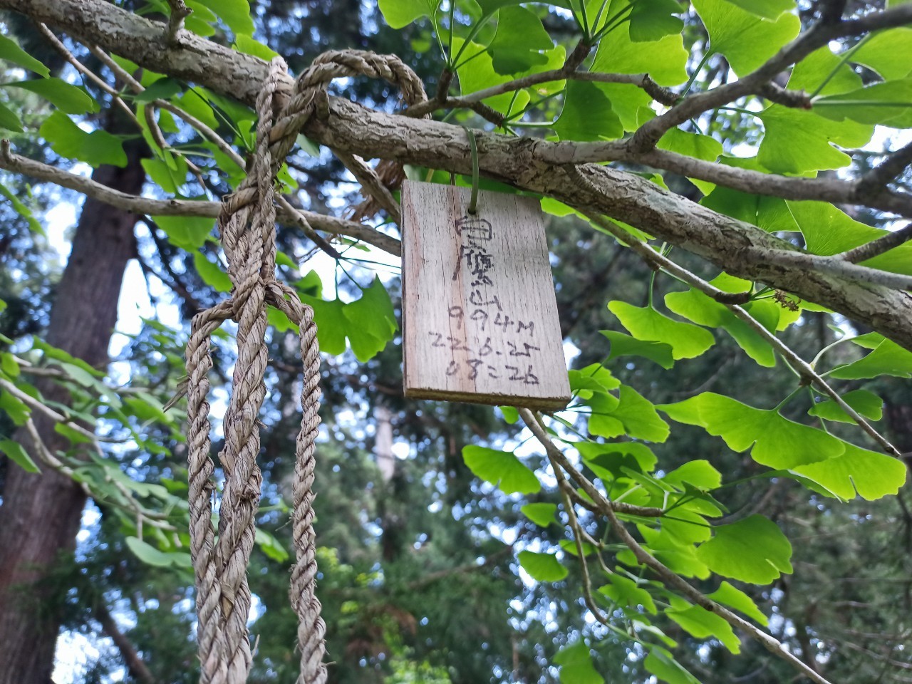 LINE_ALBUM_白鷹山20240608_240823_107