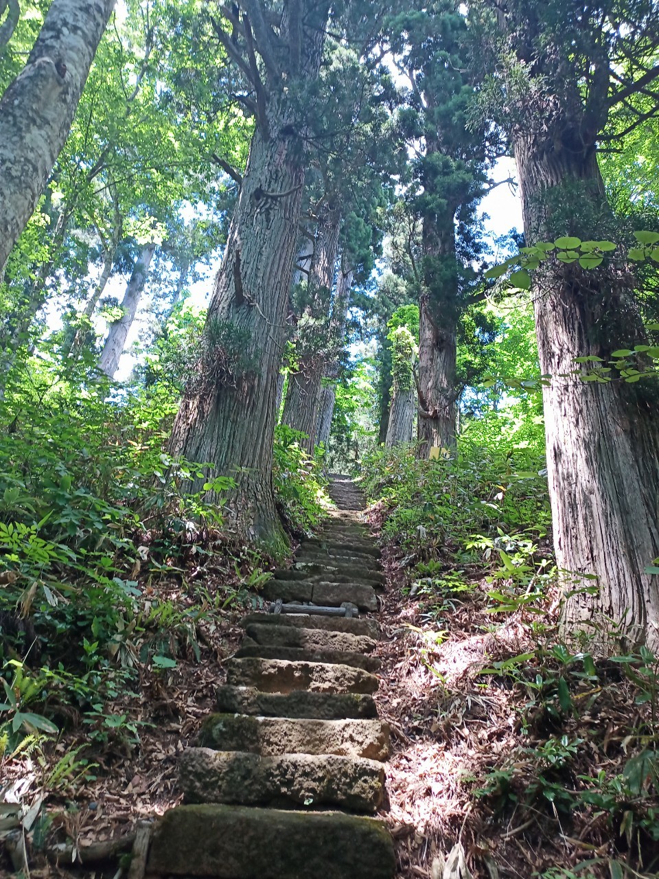 LINE_ALBUM_白鷹山20240608_240823_167