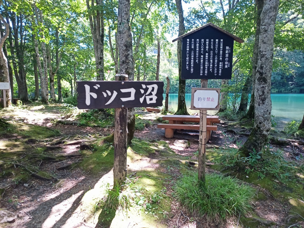 LINE_ALBUM_鳥兜山_240828_183