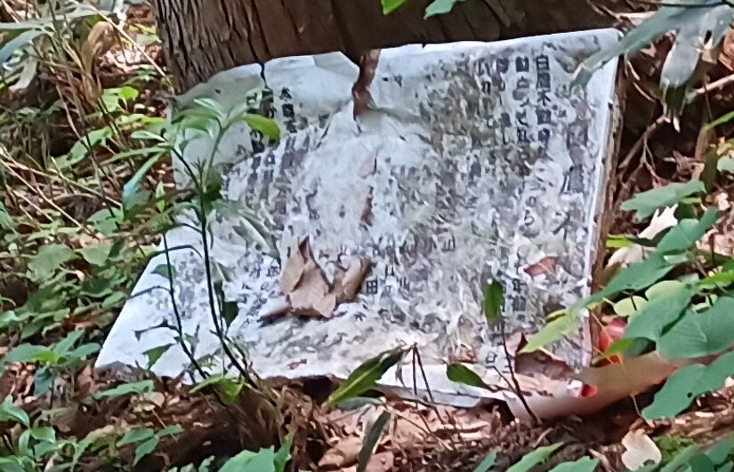 LINE_ALBUM_白鷹山20240608_240823_81