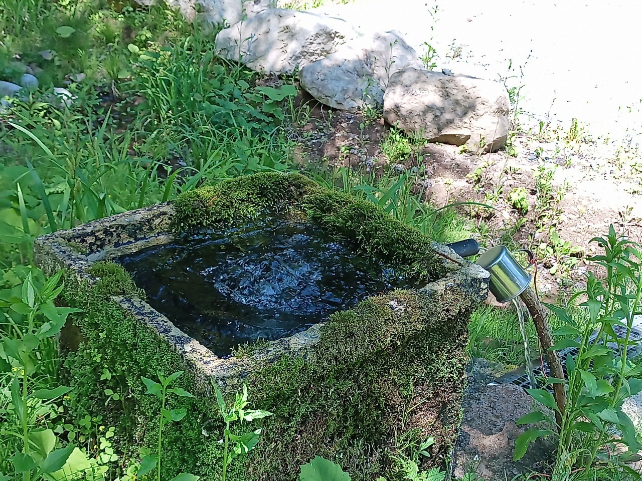 LINE_ALBUM_白鷹山20240608_240823_60