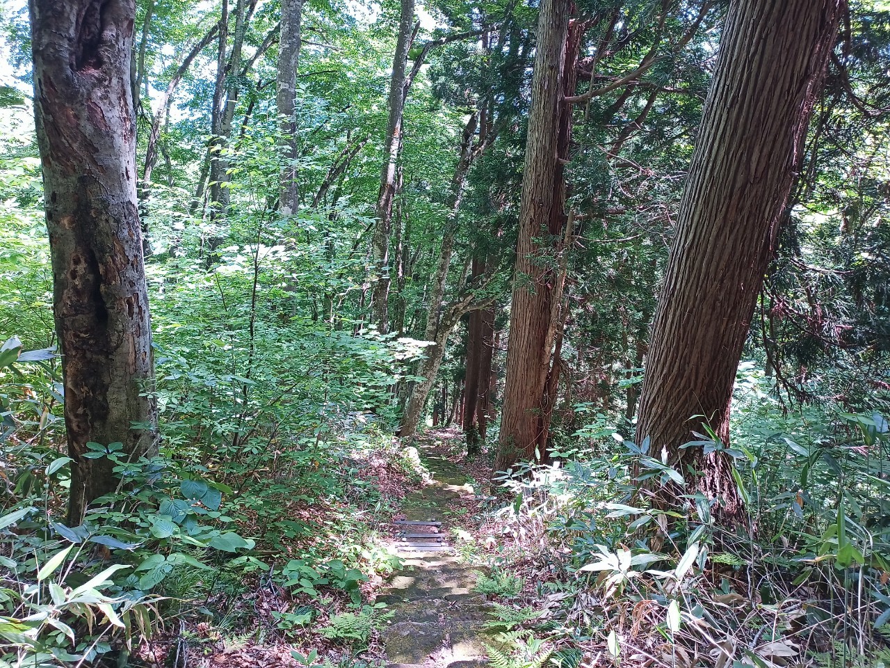 LINE_ALBUM_白鷹山20240608_240823_87