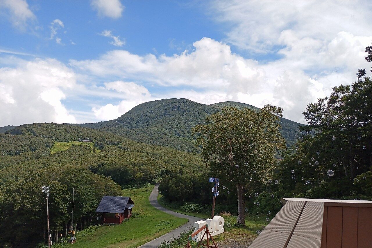 LINE_ALBUM_鳥兜山_240828_89