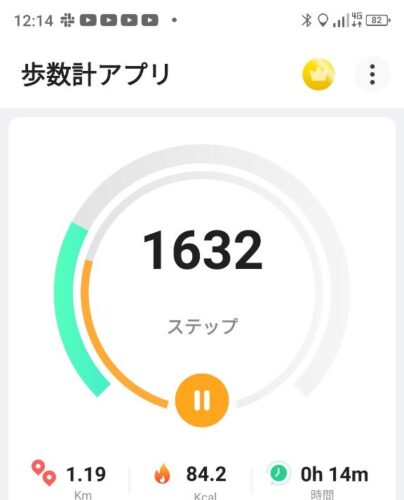 LINE_ALBUM_白鷹山20240608_240823_150