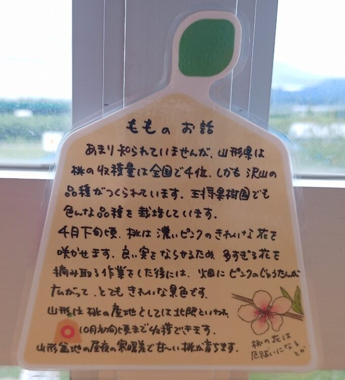 LINE_ALBUM_王将カフェ_240812_36