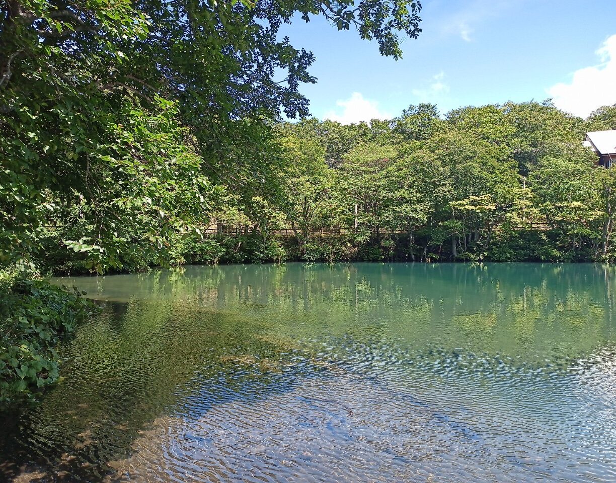 LINE_ALBUM_鳥兜山_240828_116