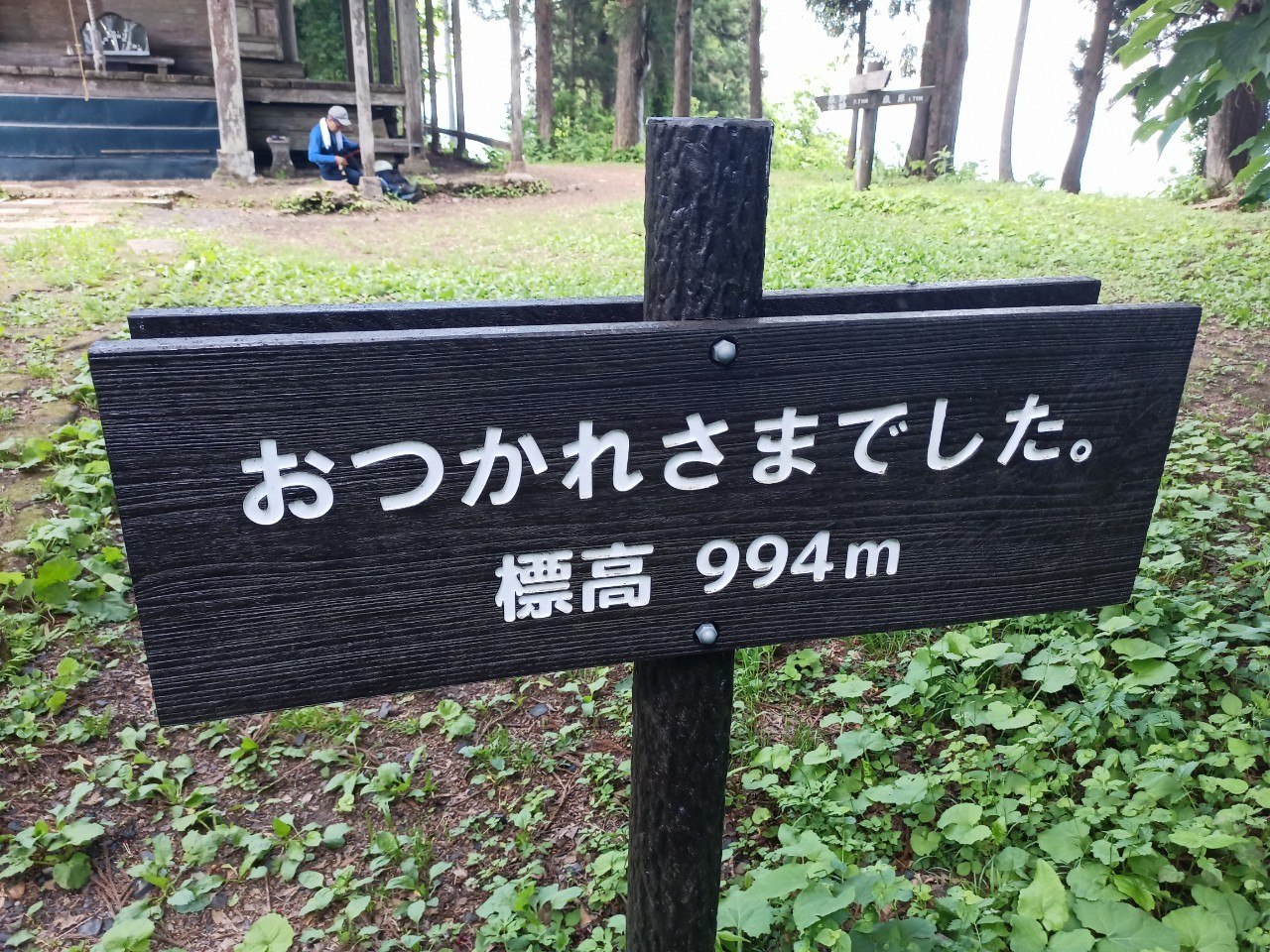 LINE_ALBUM_白鷹山20240608_240823_152
